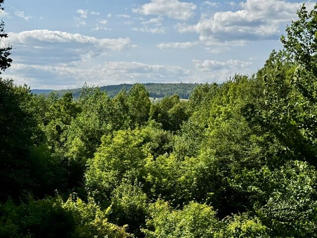 216 White House Hill Road Property Photo 31
