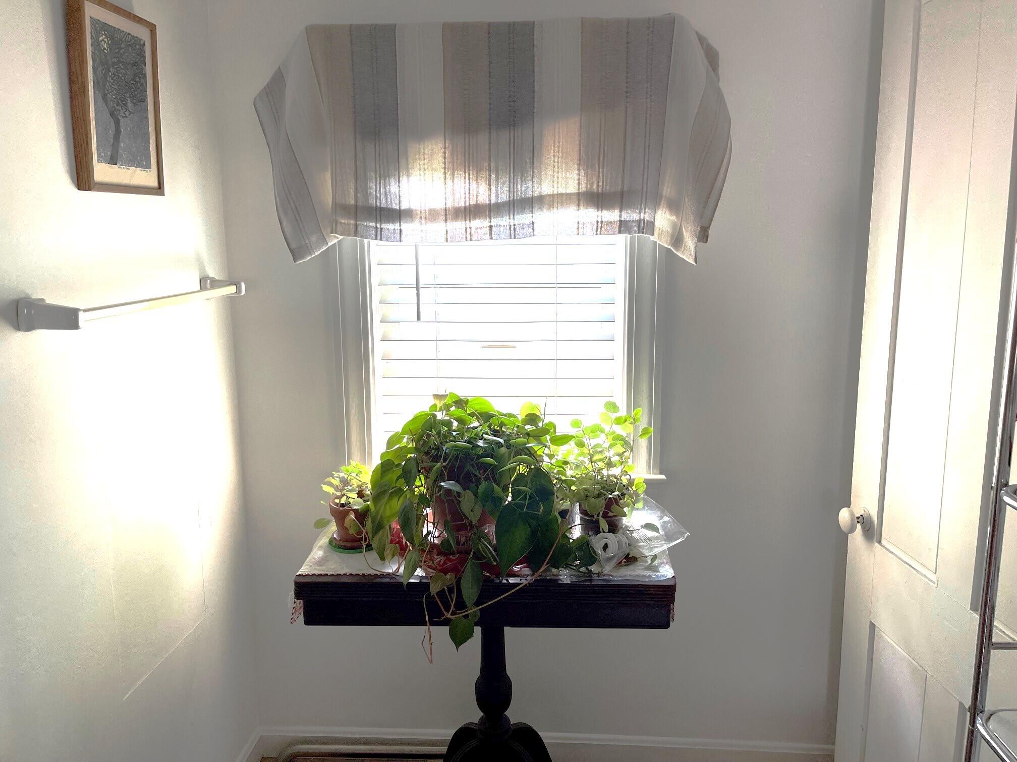 17 James Street Property Photo 23