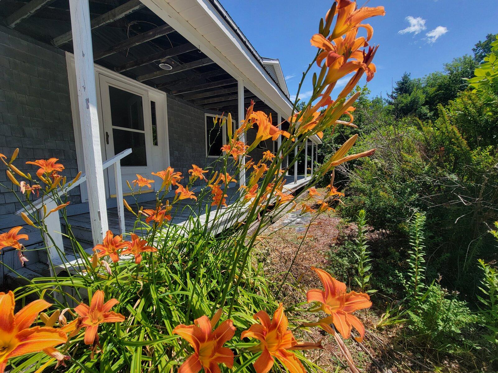473 Davenport Hill Road Property Photo 48