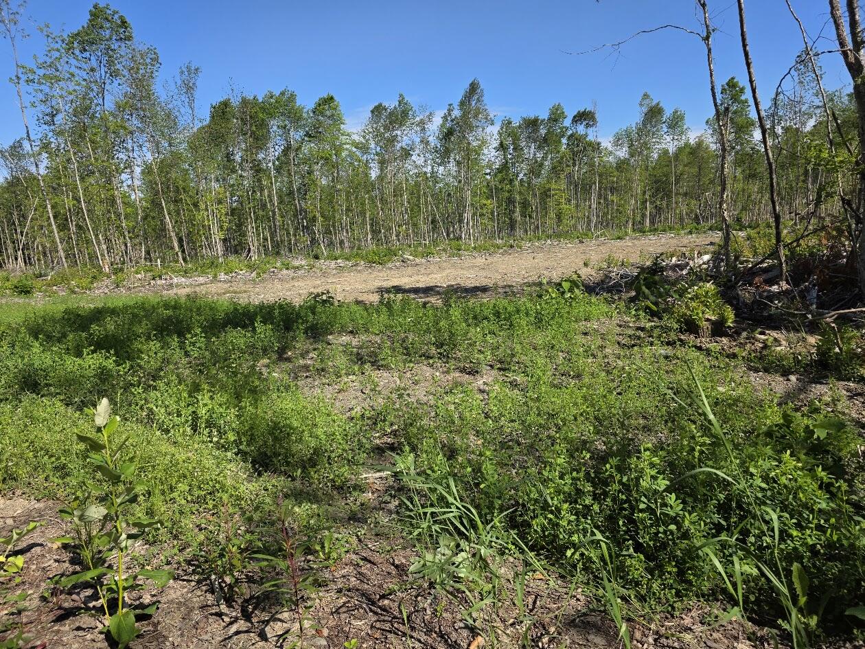 Lot 27 Williams Road Property Photo 1
