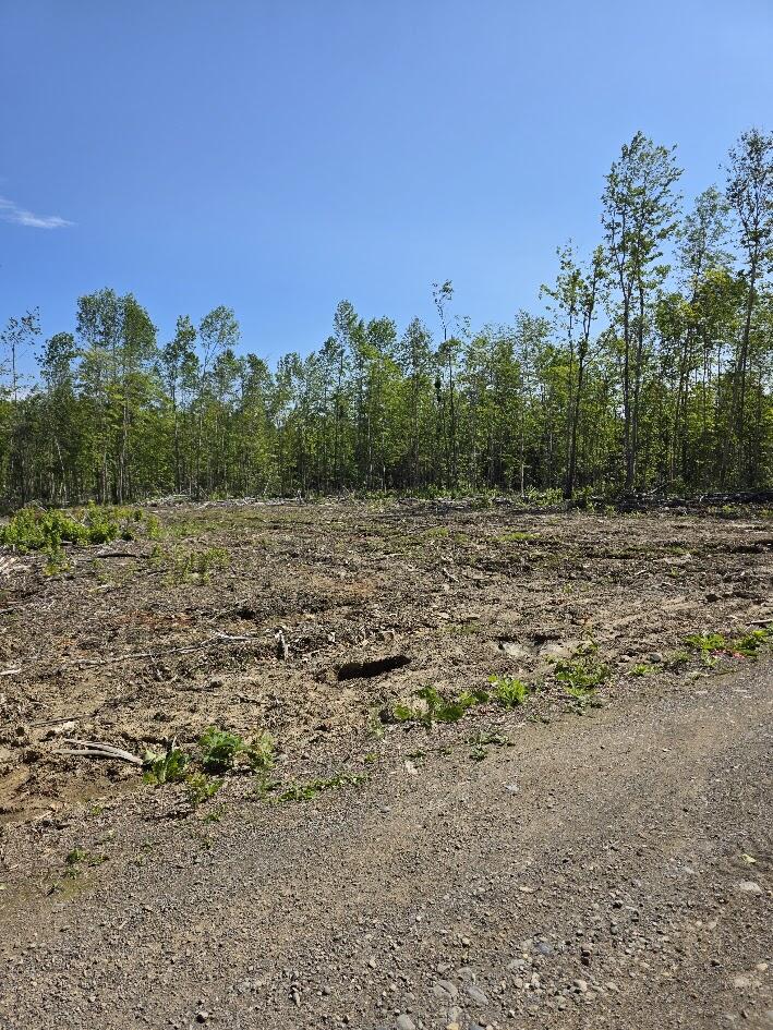 Lot 27 Williams Road Property Photo 2