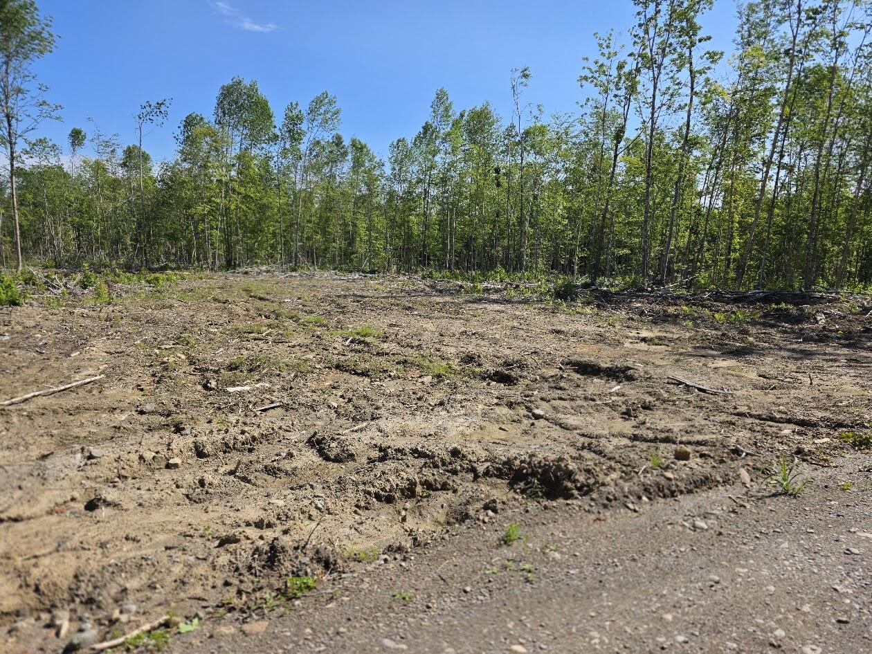 Lot 27 Williams Road Property Photo 3