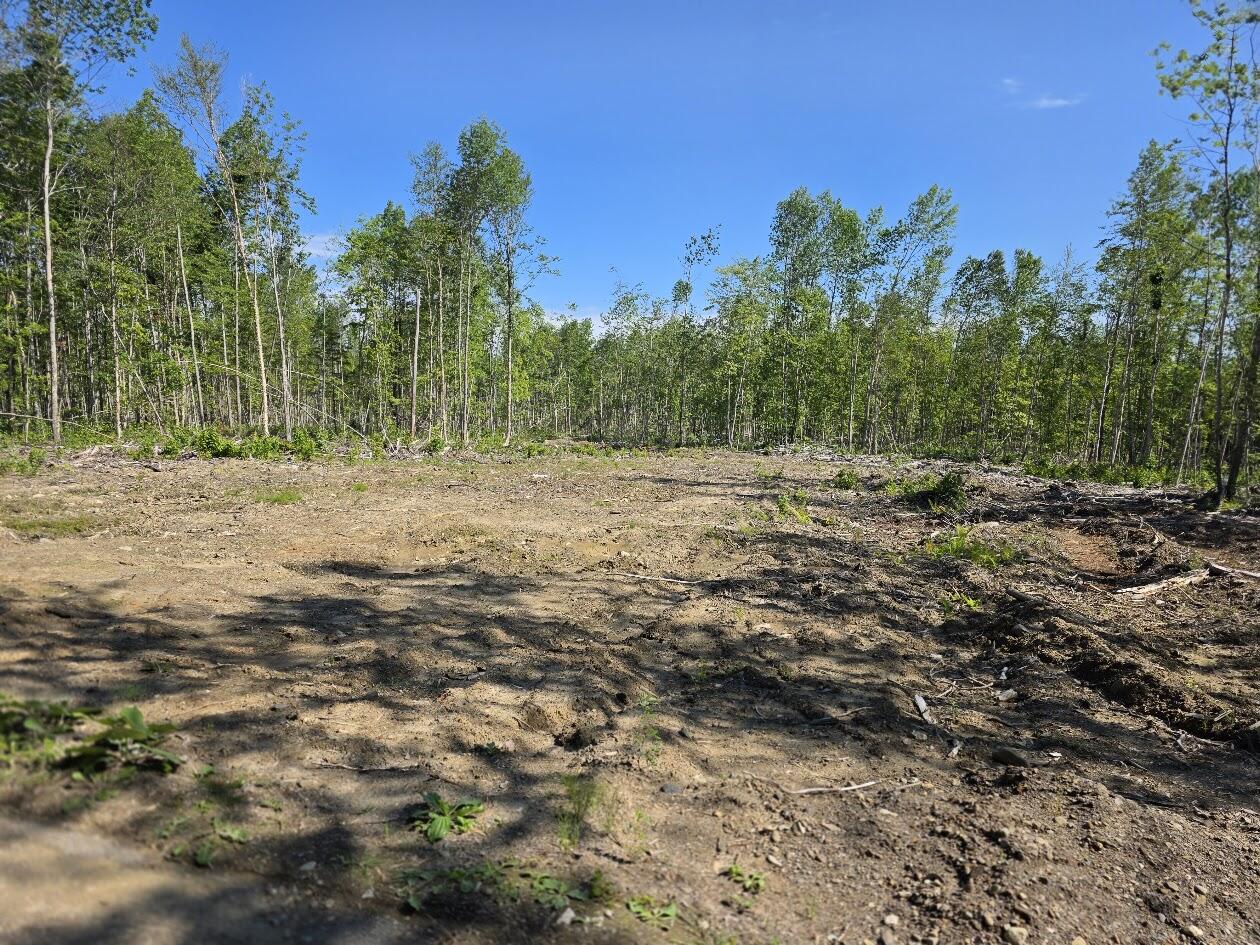 Lot 27 Williams Road Property Photo 4