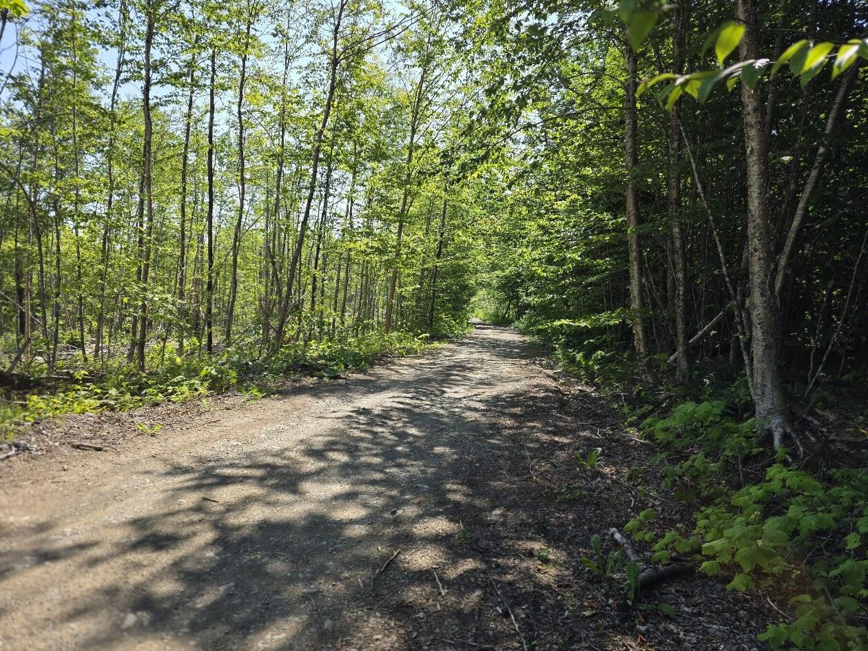 Lot 27 Williams Road Property Photo 5