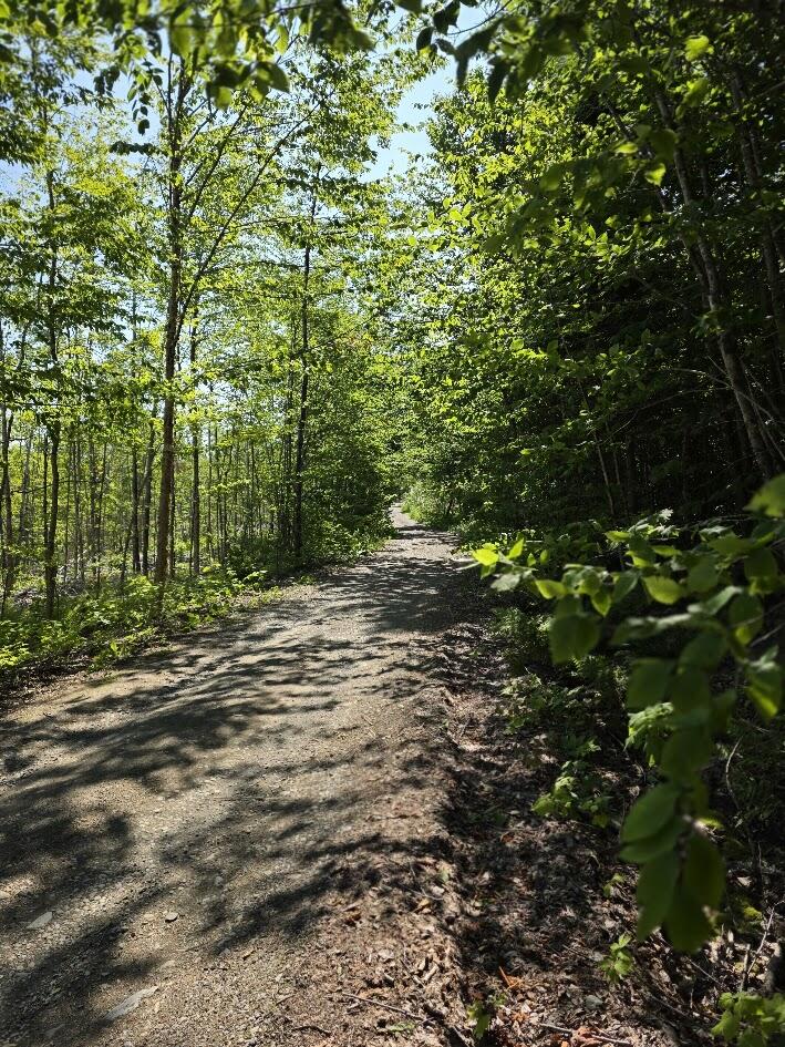 Lot 27 Williams Road Property Photo 6