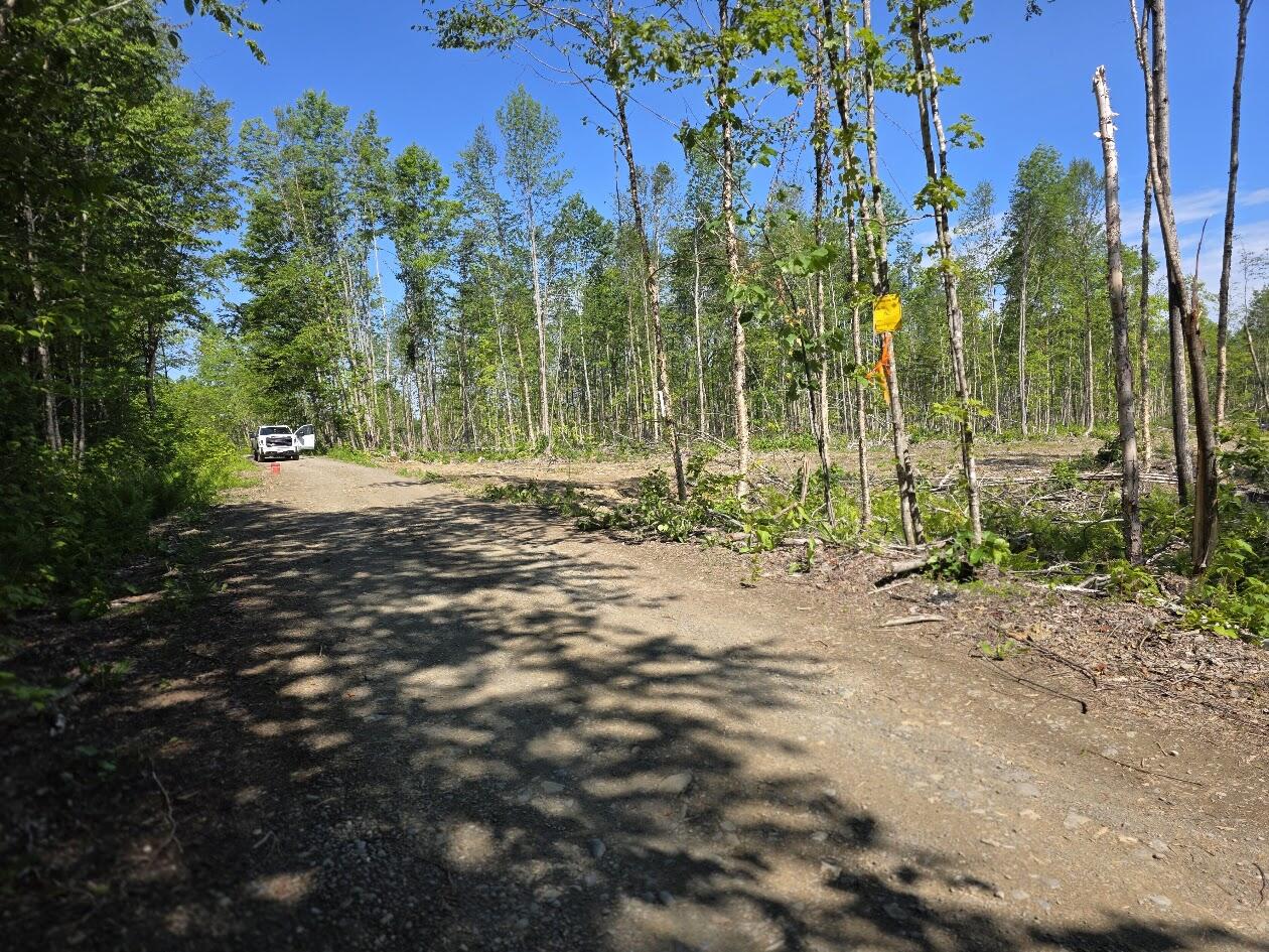 Lot 27 Williams Road Property Photo 7