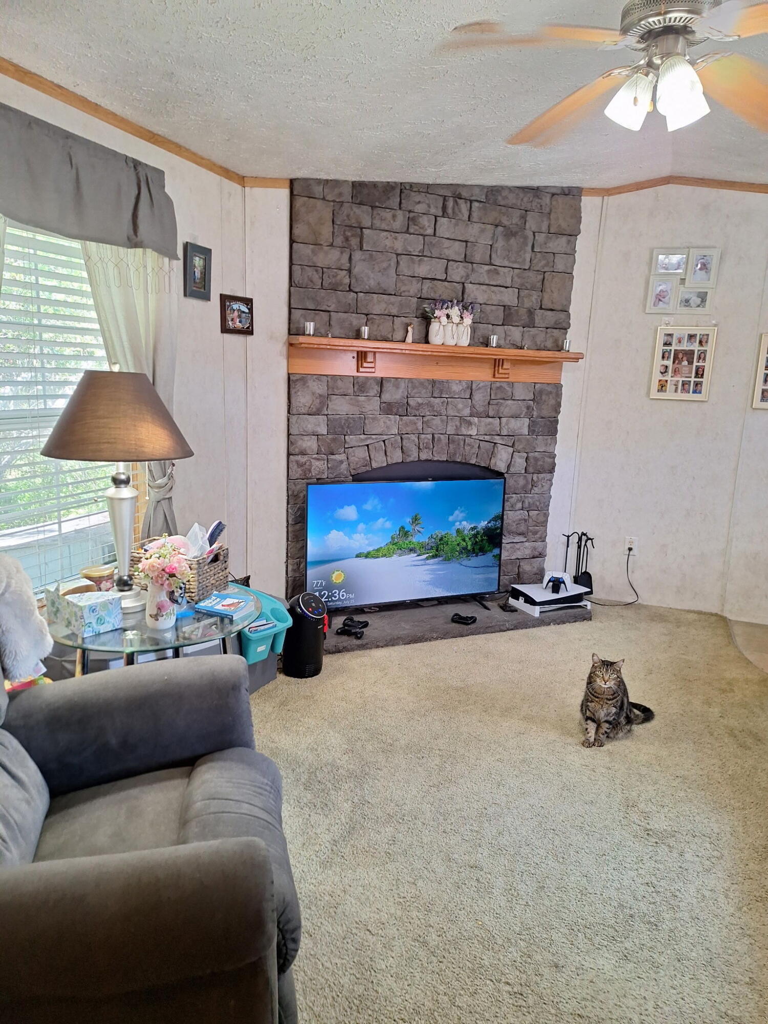 245 China Road Property Photo 12