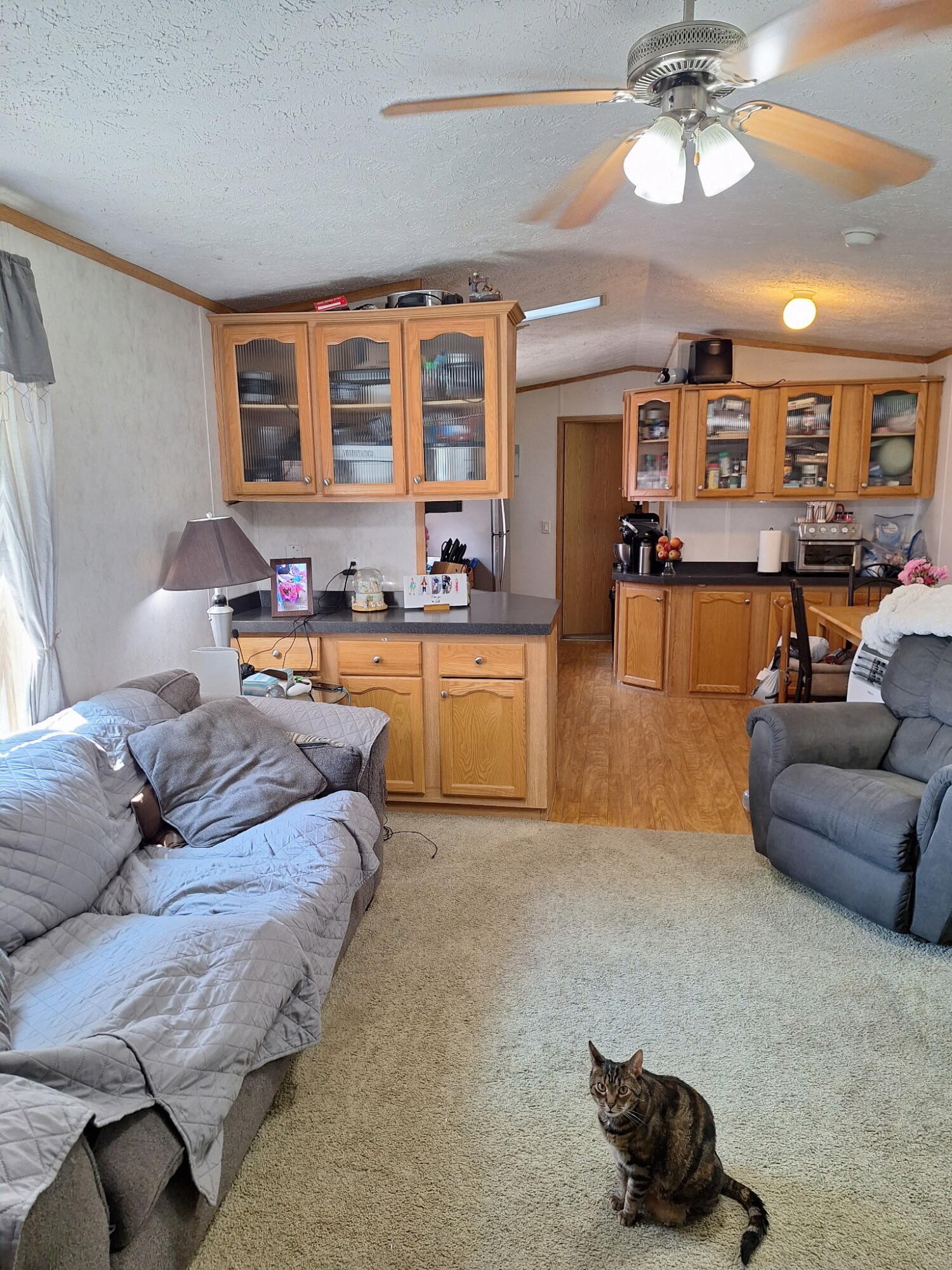 245 China Road Property Photo 13