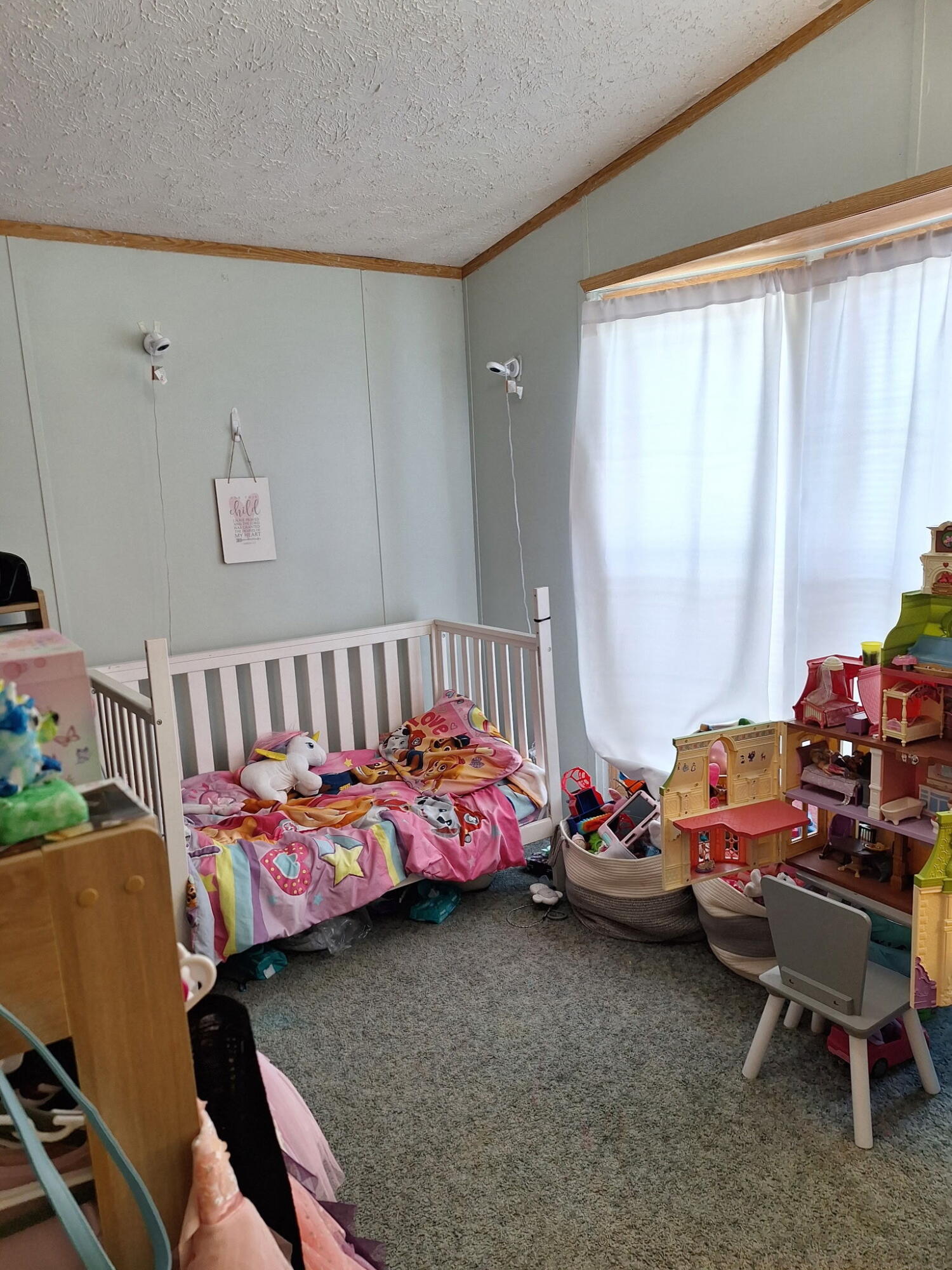 245 China Road Property Photo 19