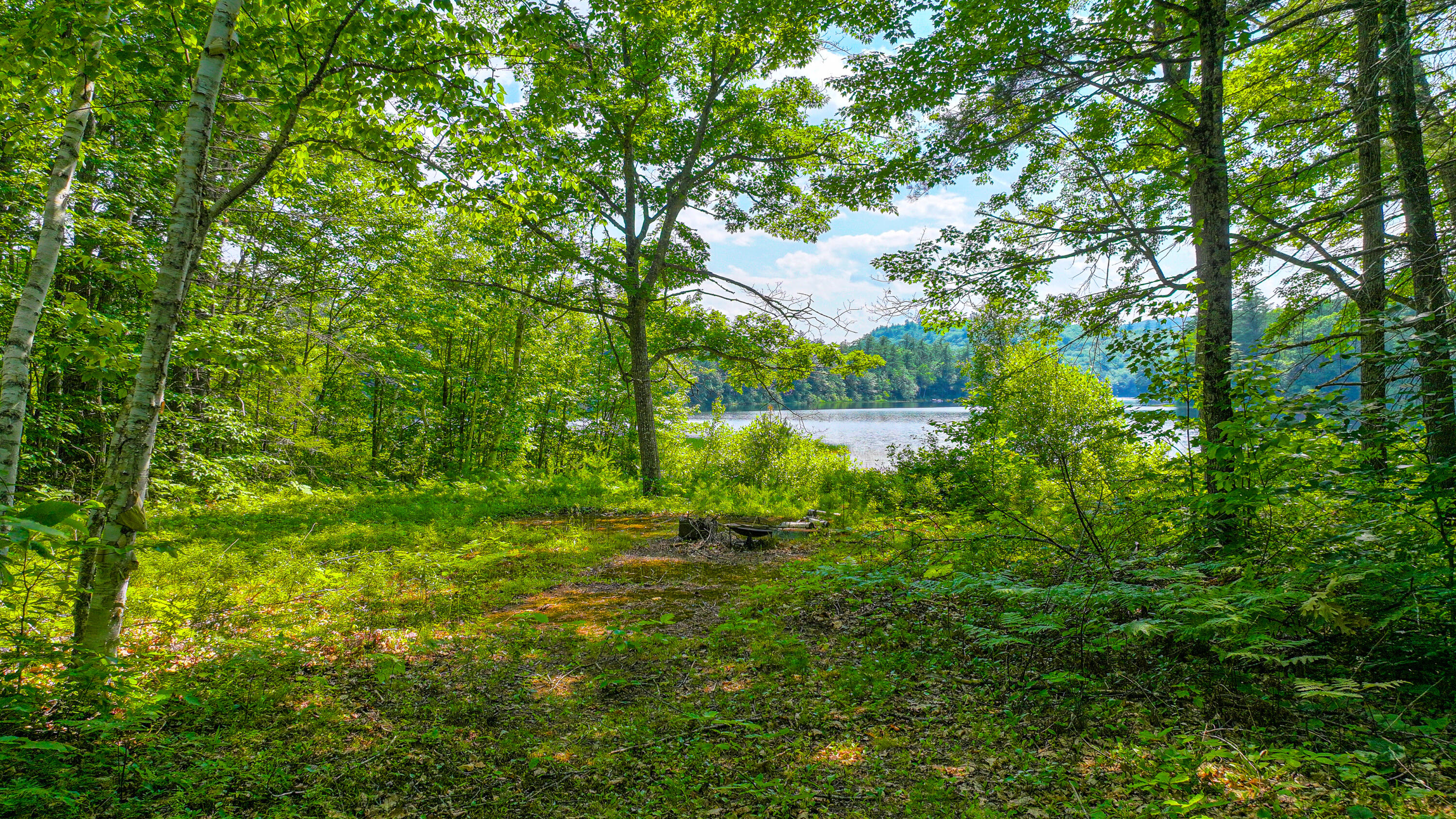 84 Kezars Ridge Property Photo 3