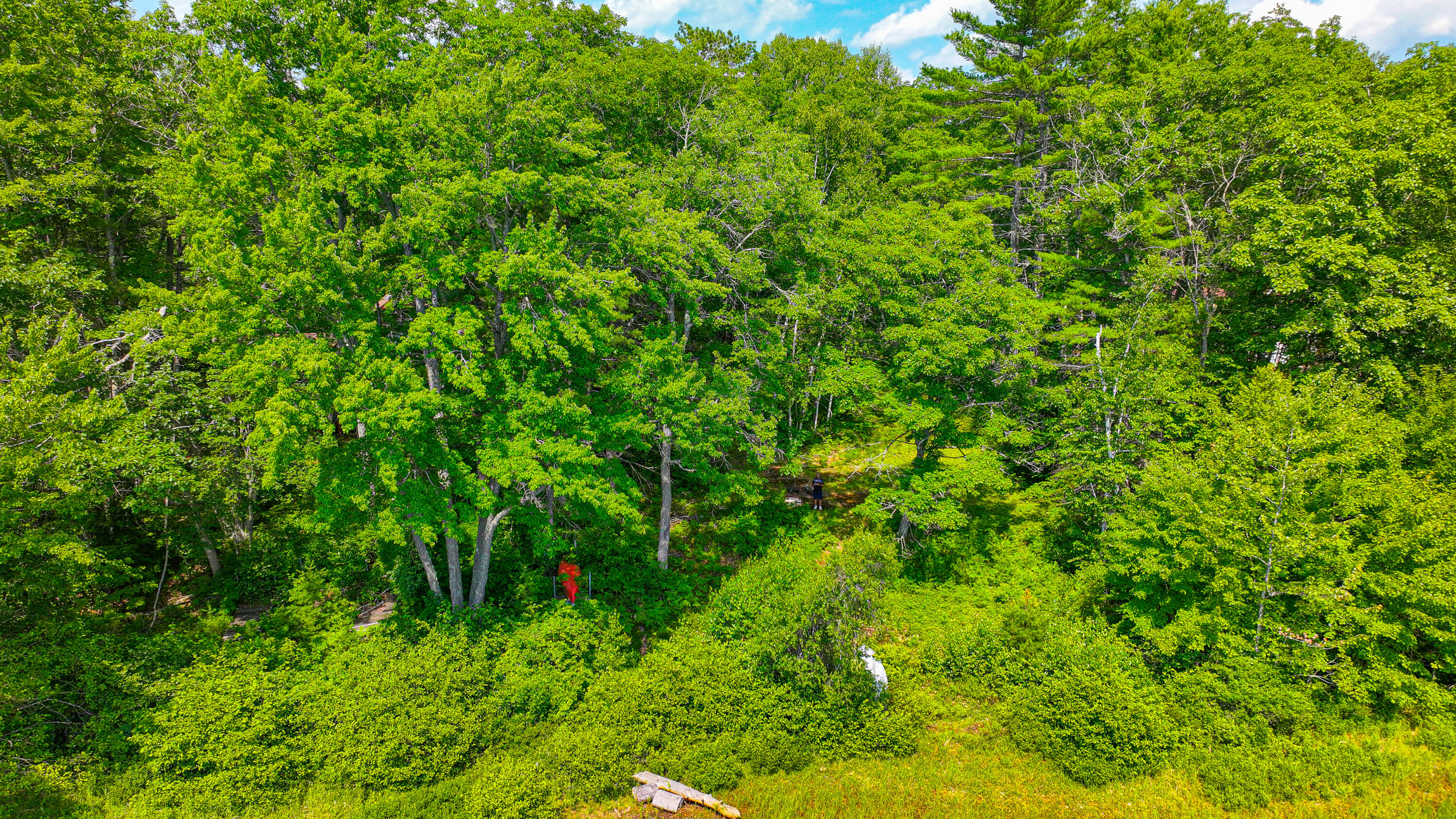 84 Kezars Ridge Property Photo 20
