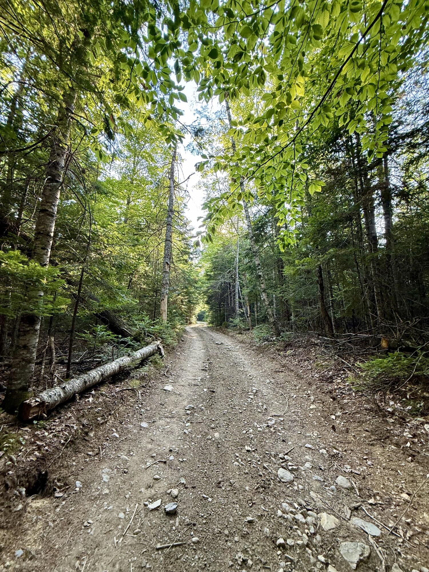 Tbd Democrat Ridge Road Property Photo 24