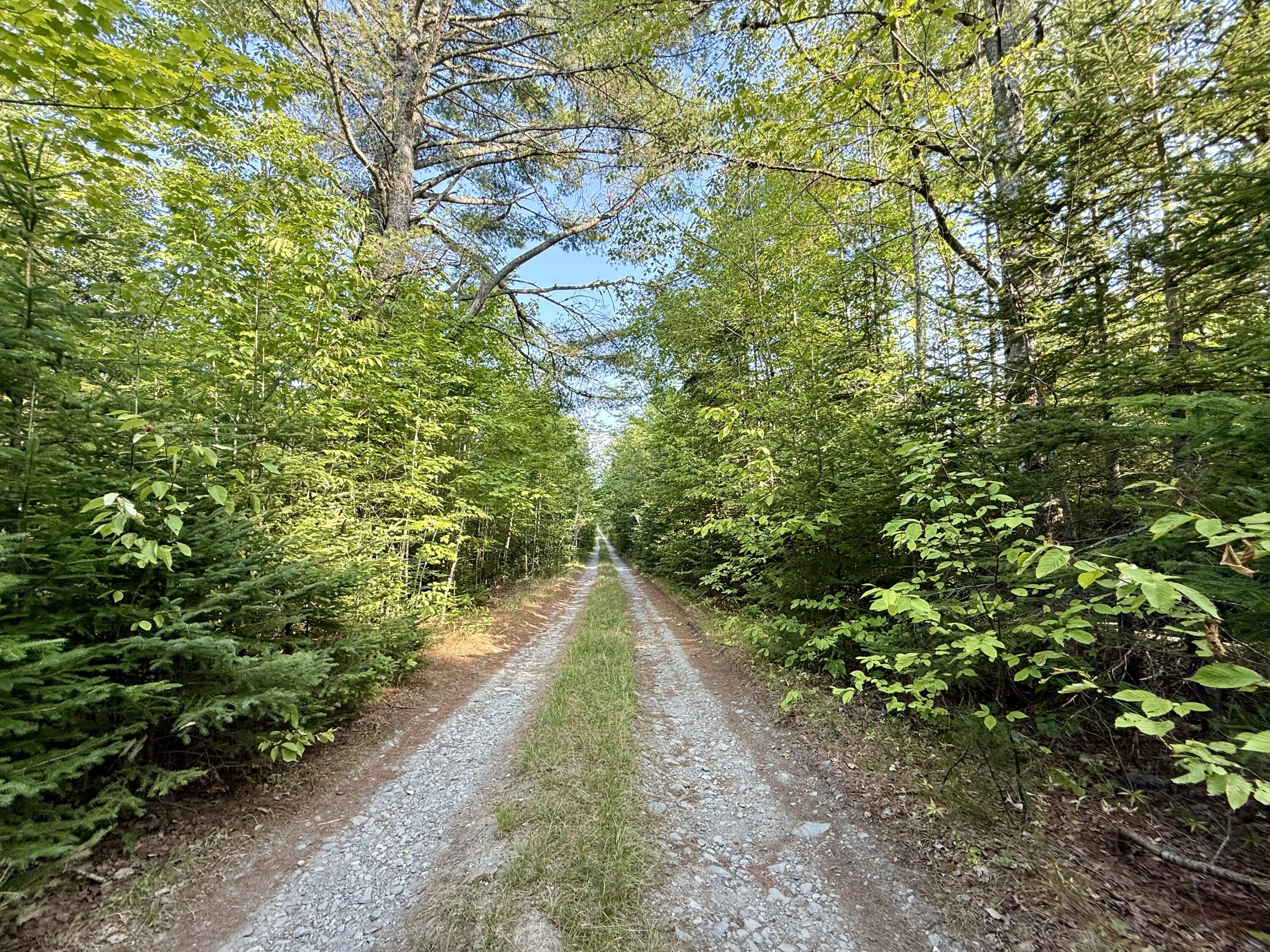 Tbd Democrat Ridge Road Property Photo 28