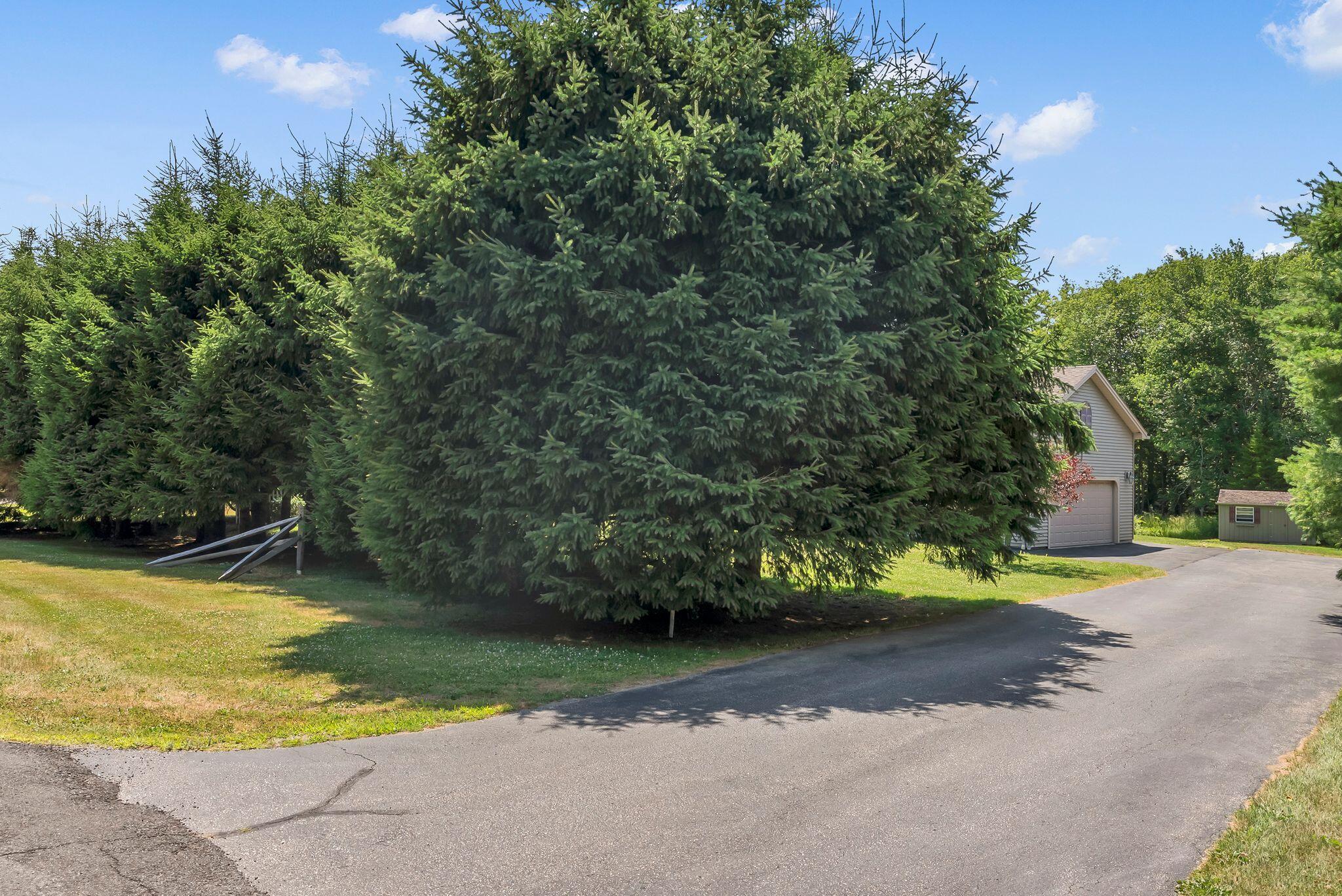 9 Oak Run Property Photo 3