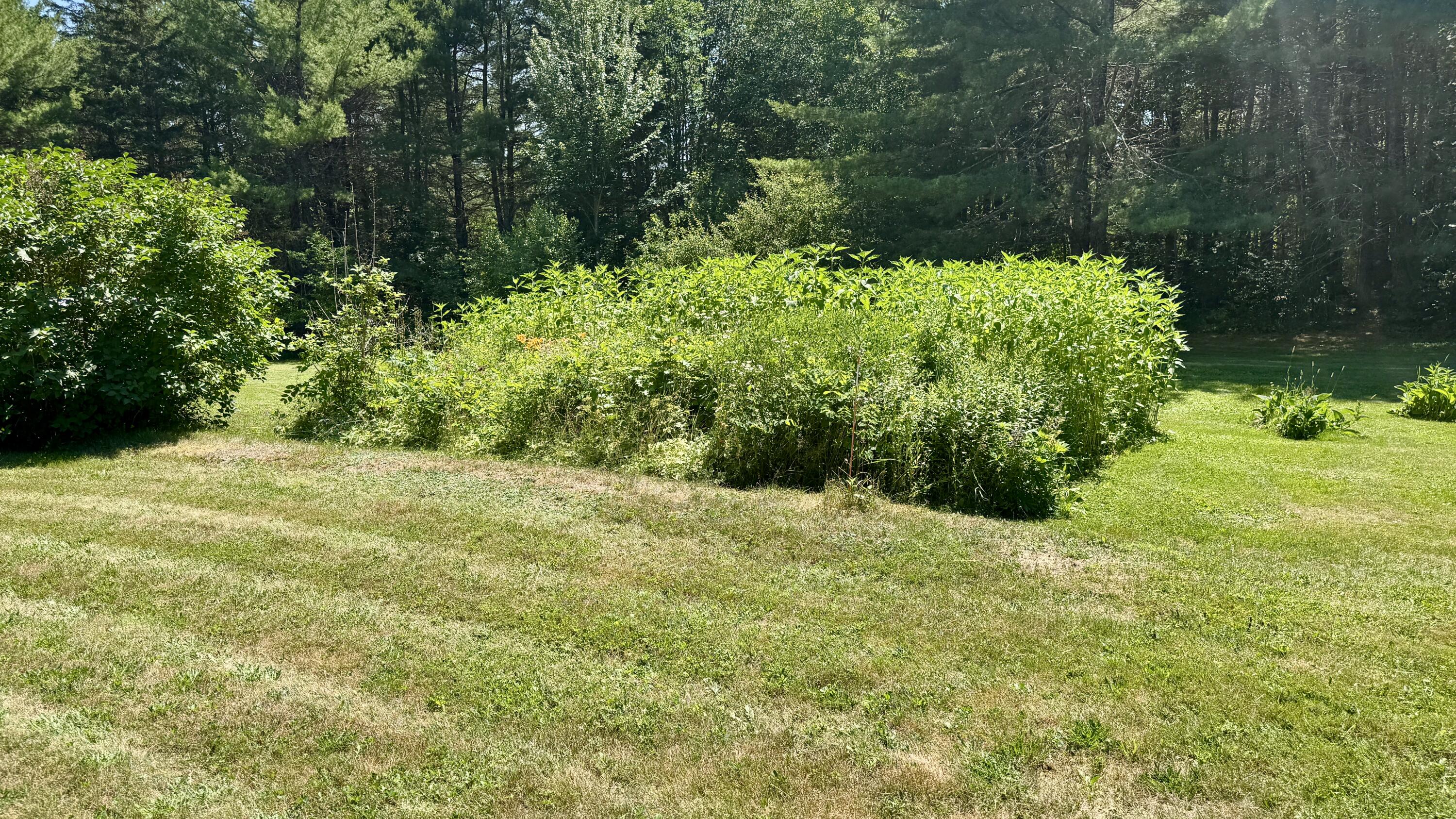 539 King Street Property Photo 53