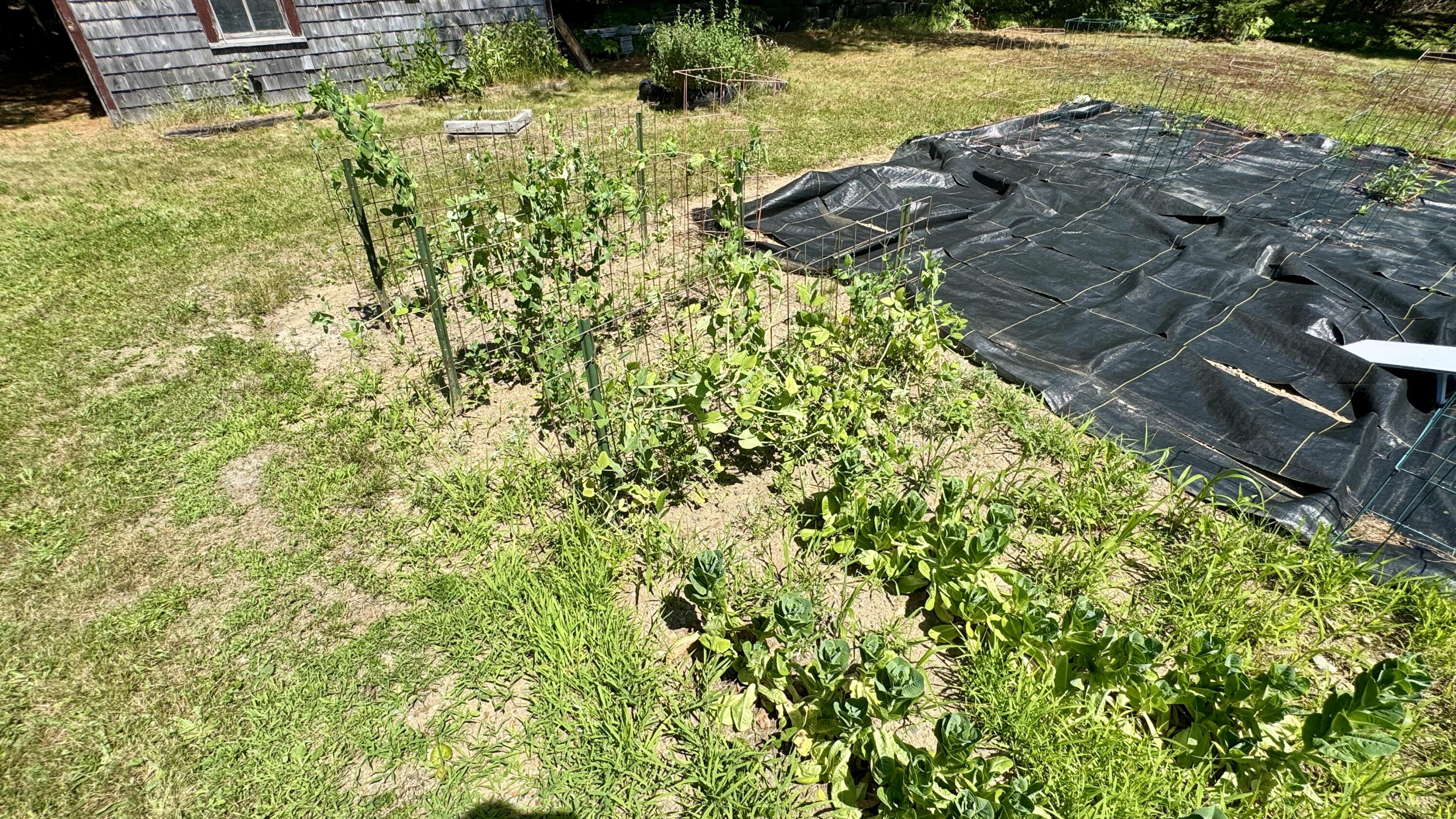 539 King Street Property Photo 57