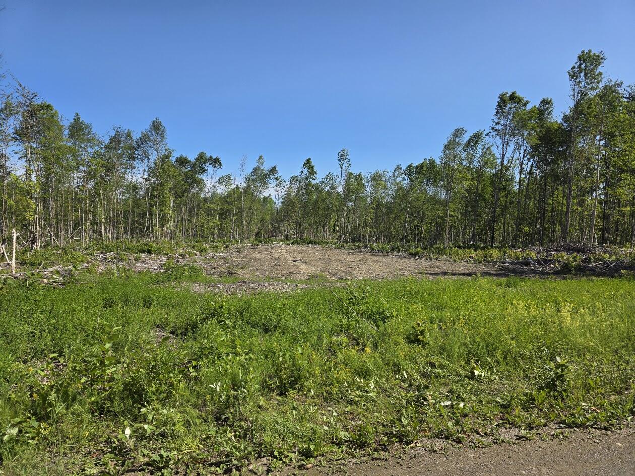 Lot 26E Williams Road Property Photo 1