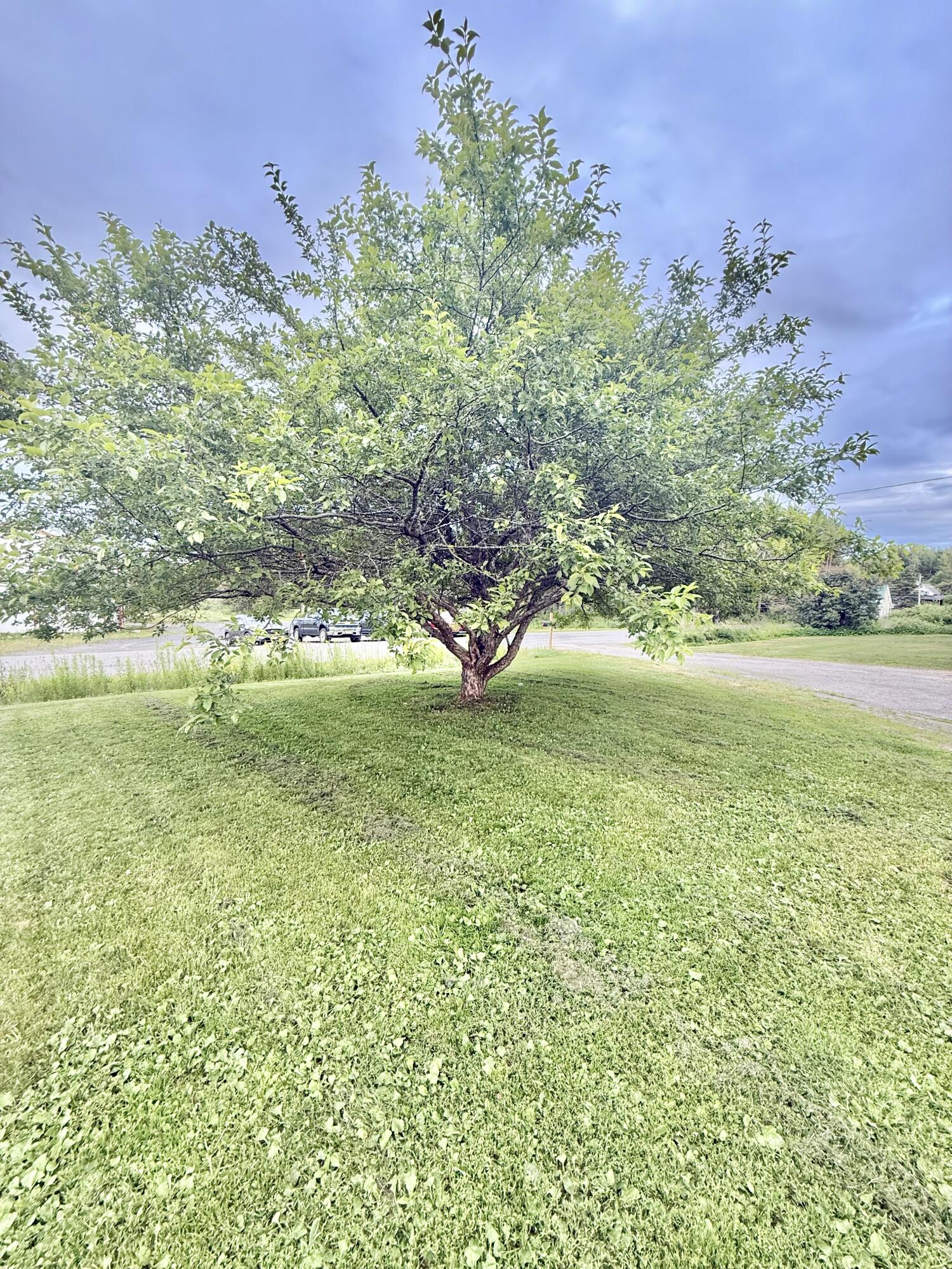 8 Caron Road Property Photo 24