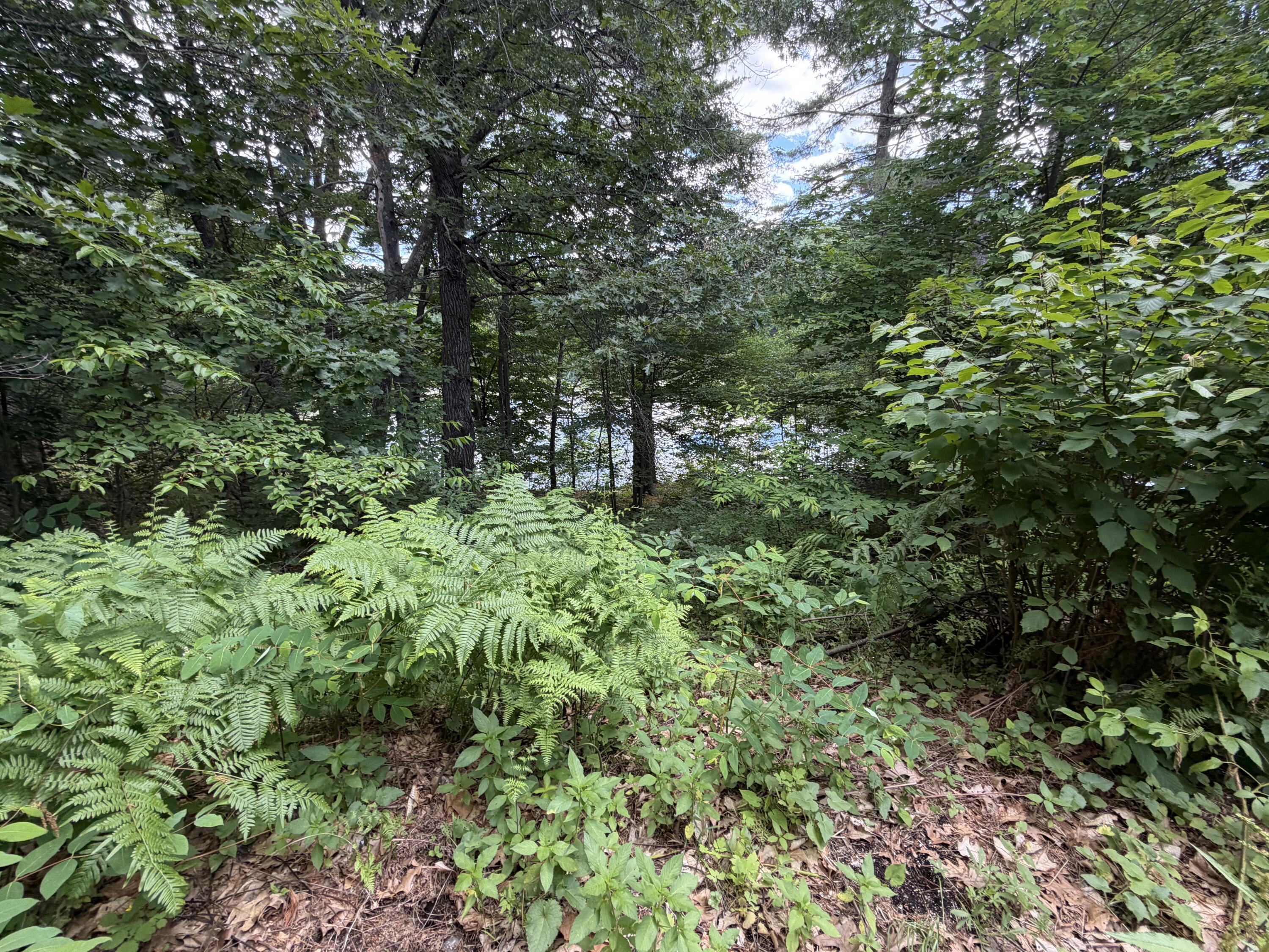 14 Emerson Drive Property Photo 14