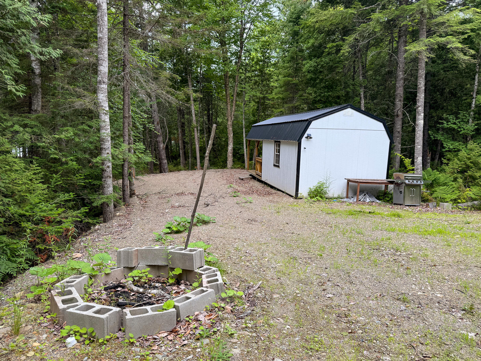 Lot 7 Bill Green Pond Road Property Photo 3