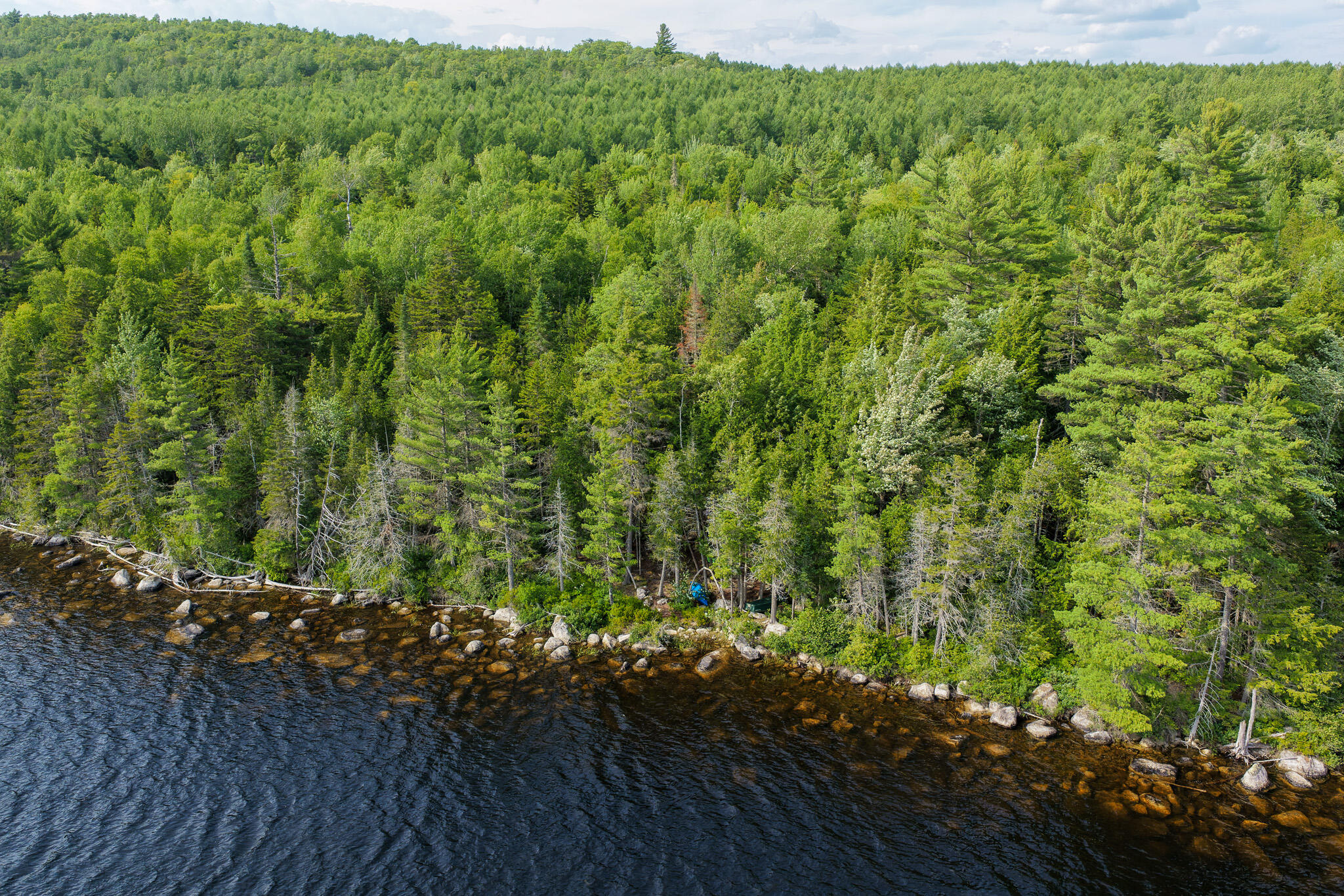 Lot 7 Bill Green Pond Road Property Photo 6