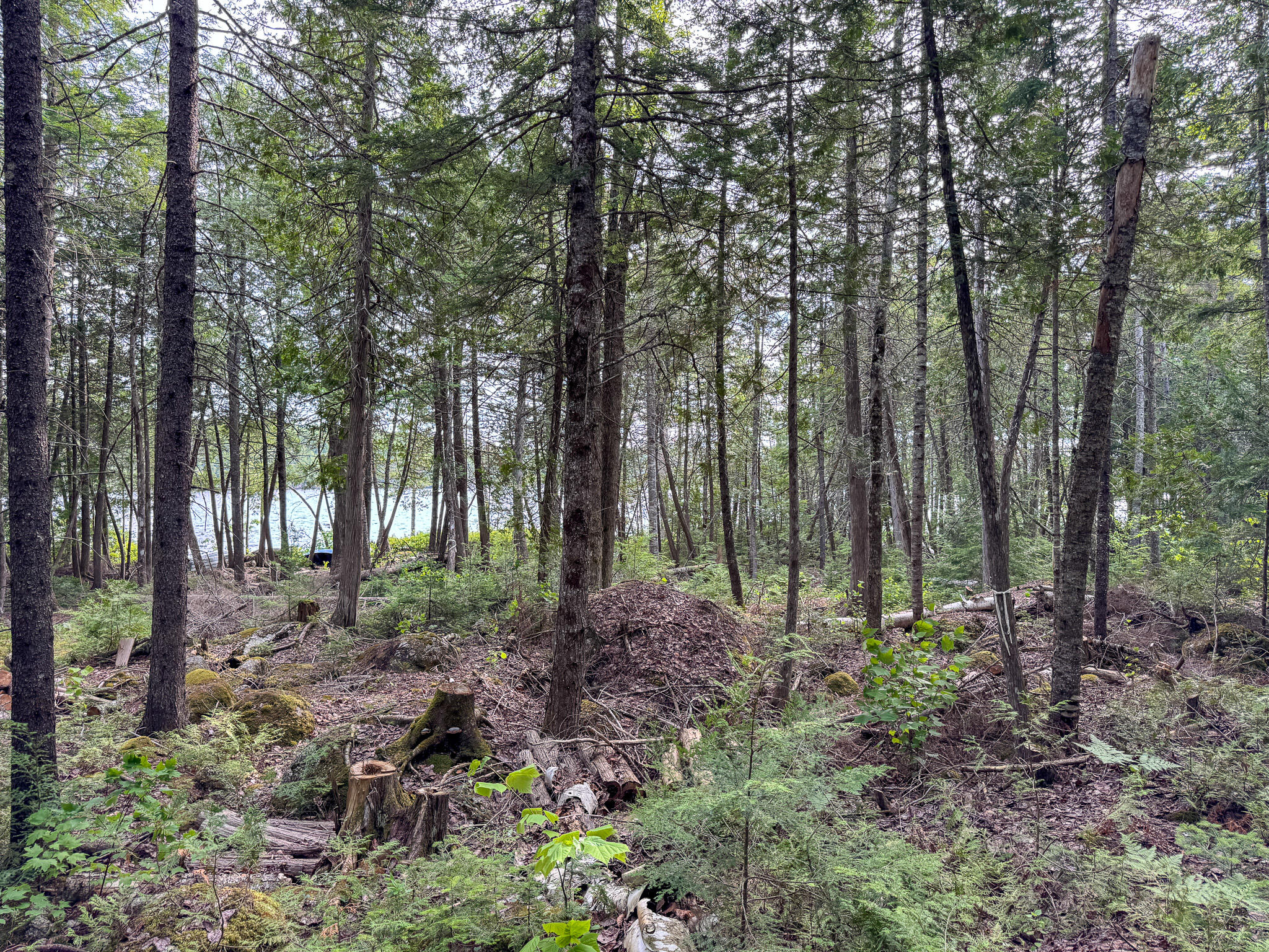 Lot 7 Bill Green Pond Road Property Photo 13