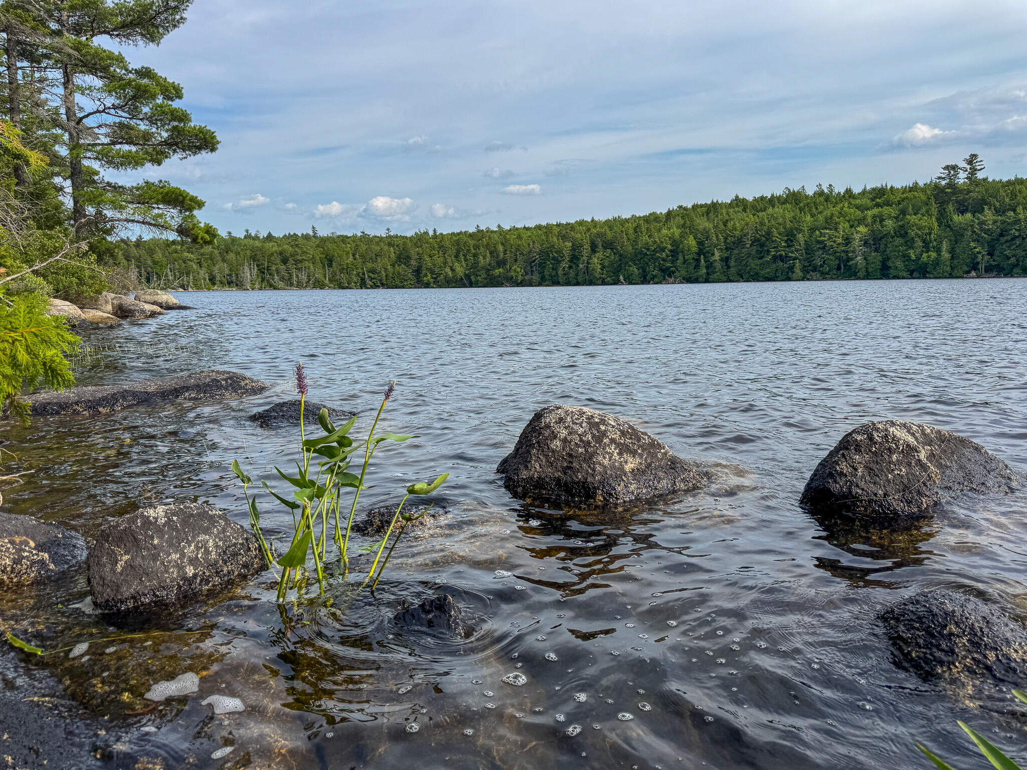 Lot 7 Bill Green Pond Road Property Photo 14