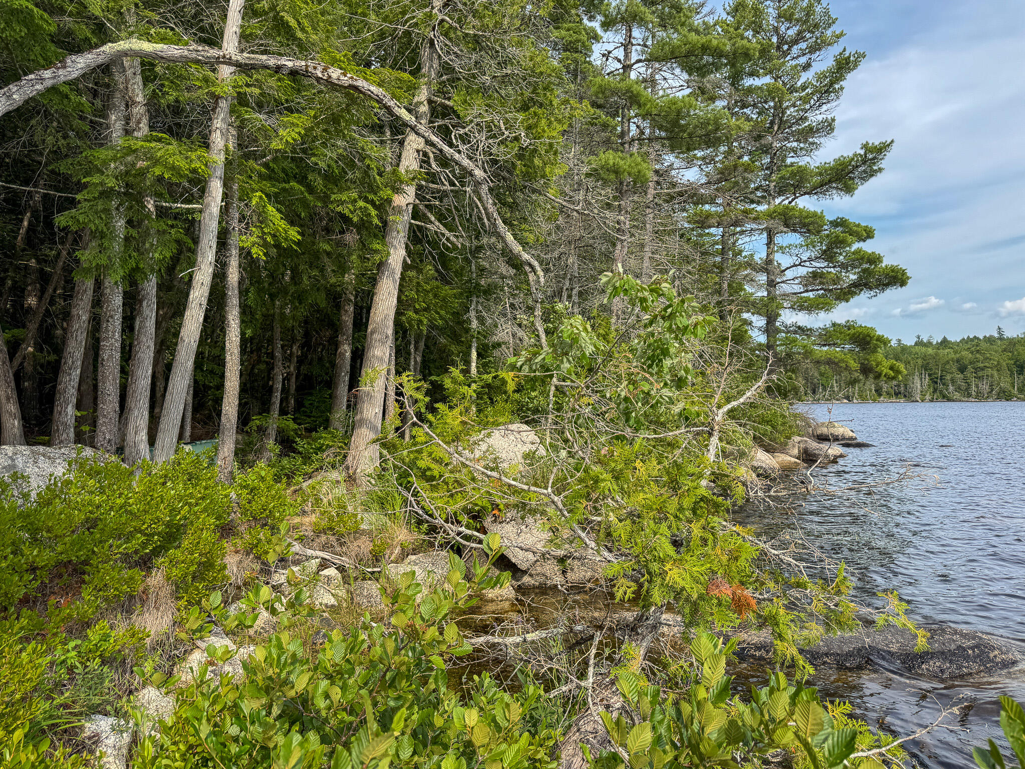 Lot 7 Bill Green Pond Road Property Photo 15