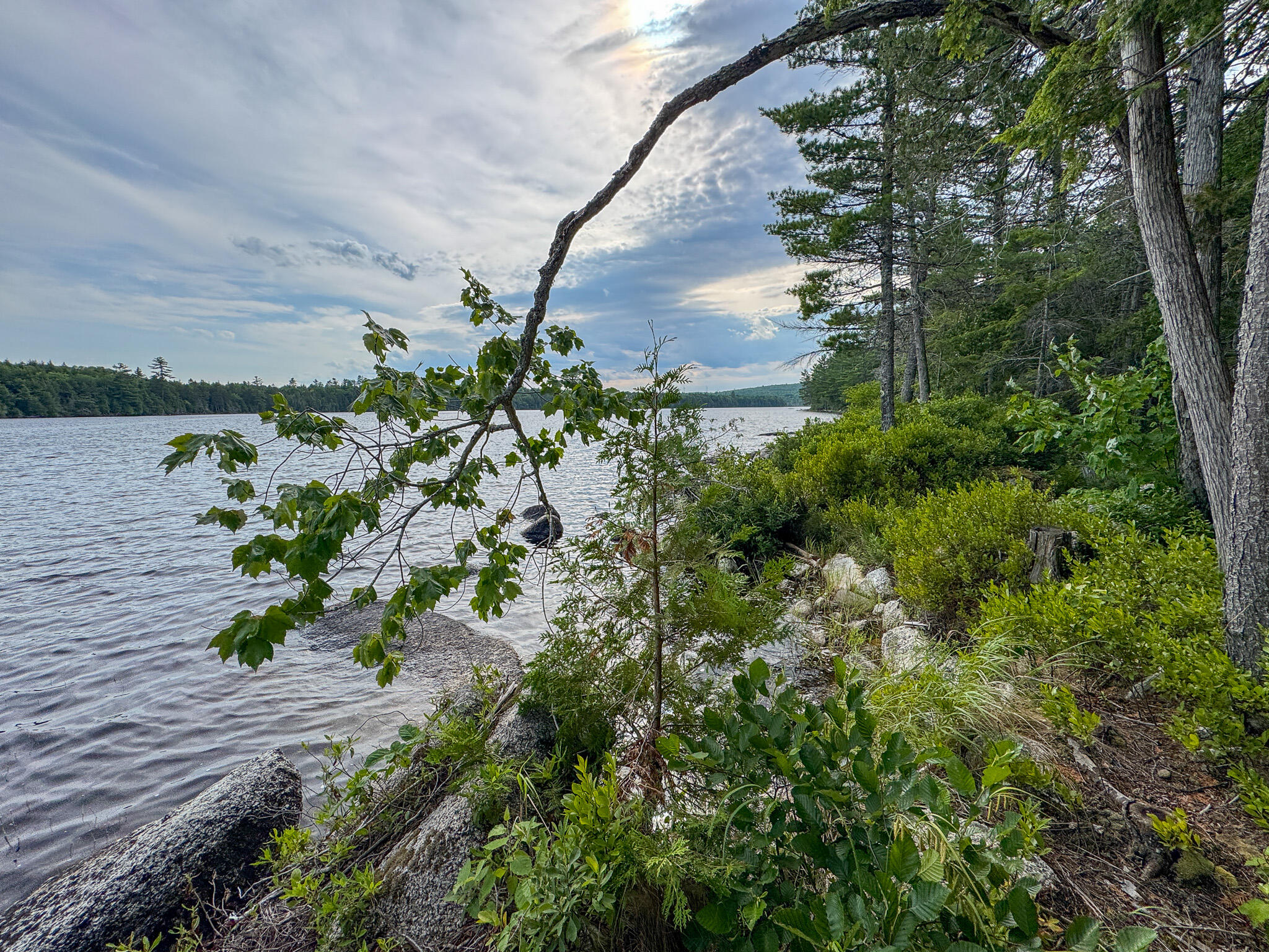 Lot 7 Bill Green Pond Road Property Photo 17