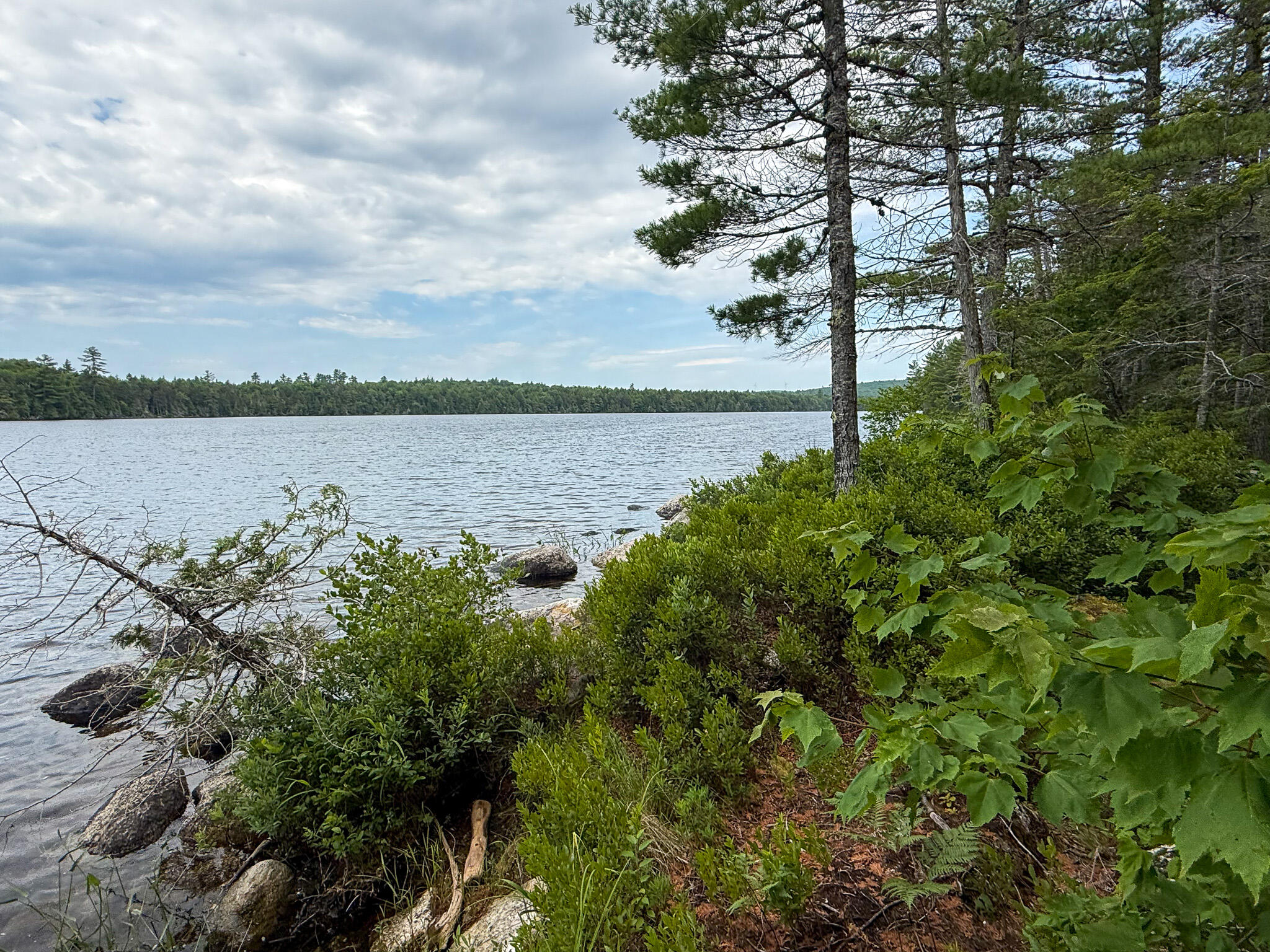 Lot 7 Bill Green Pond Road Property Photo 21