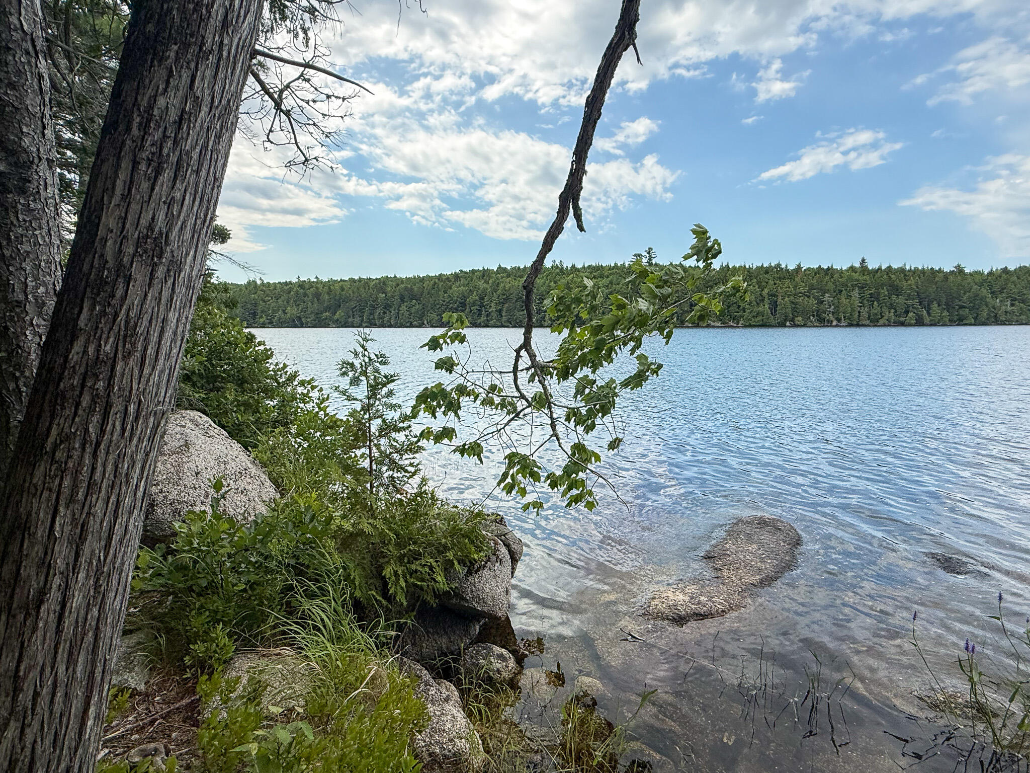 Lot 7 Bill Green Pond Road Property Photo 22