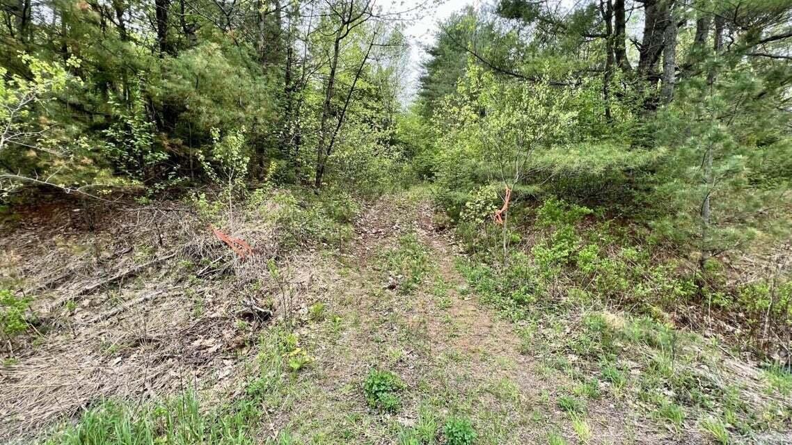 Lot 1-1a Madison Road Property Photo 6