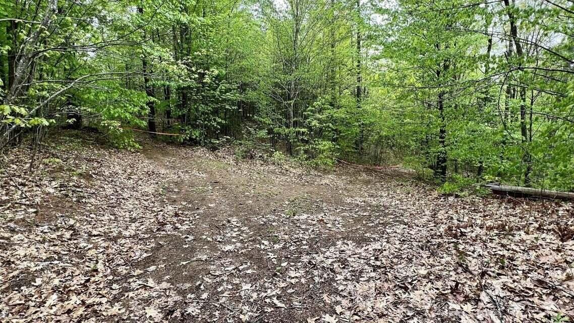 Lot 1-1a Madison Road Property Photo 7