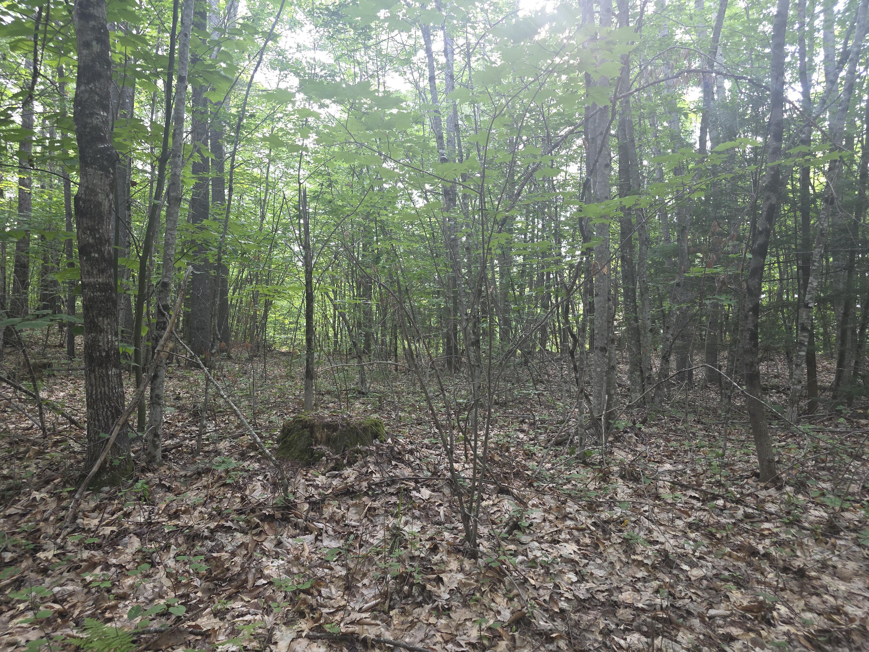 Lot 1-1a Madison Road Property Photo 9
