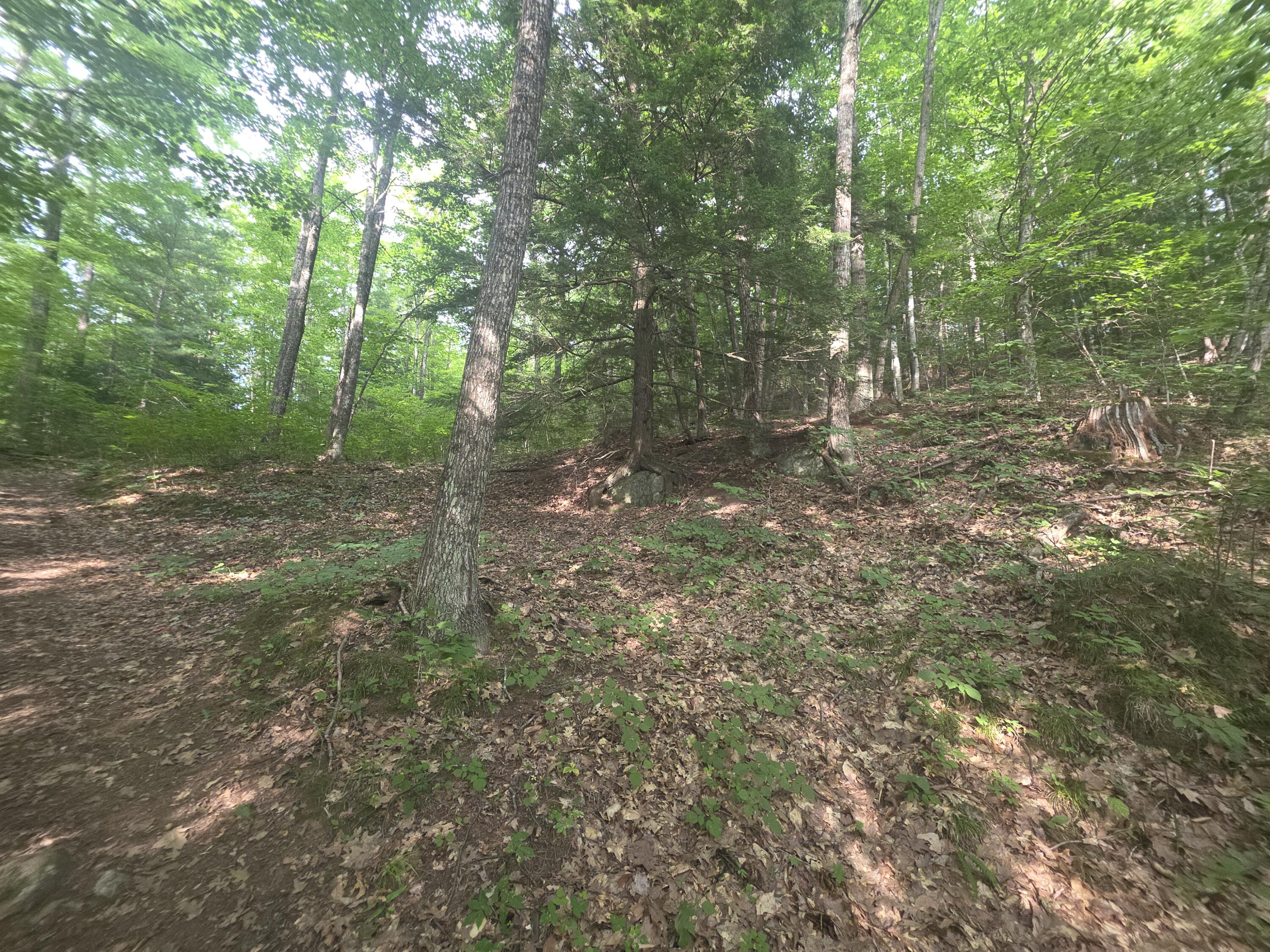Lot 1-1a Madison Road Property Photo 10