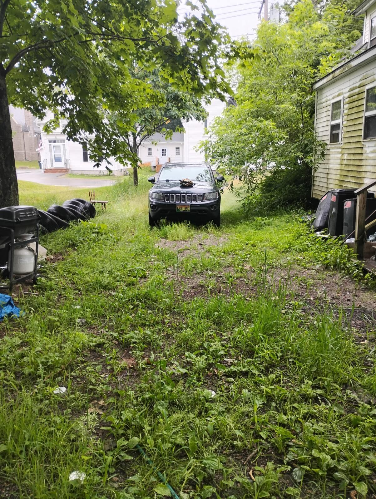7 Free Street Property Photo 3