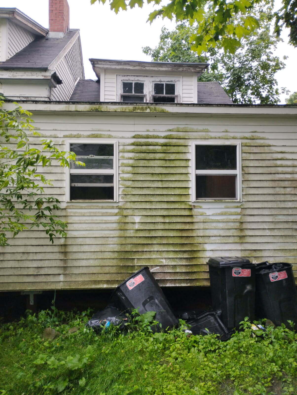 7 Free Street Property Photo 9