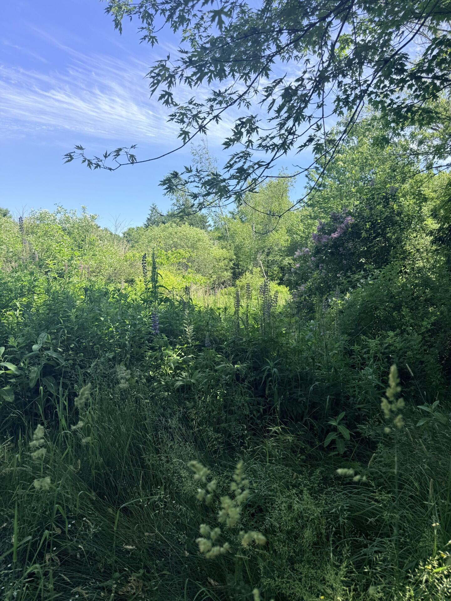 1769 Washington Road Property Photo 4