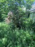 1769 Washington Road Property Photo 5