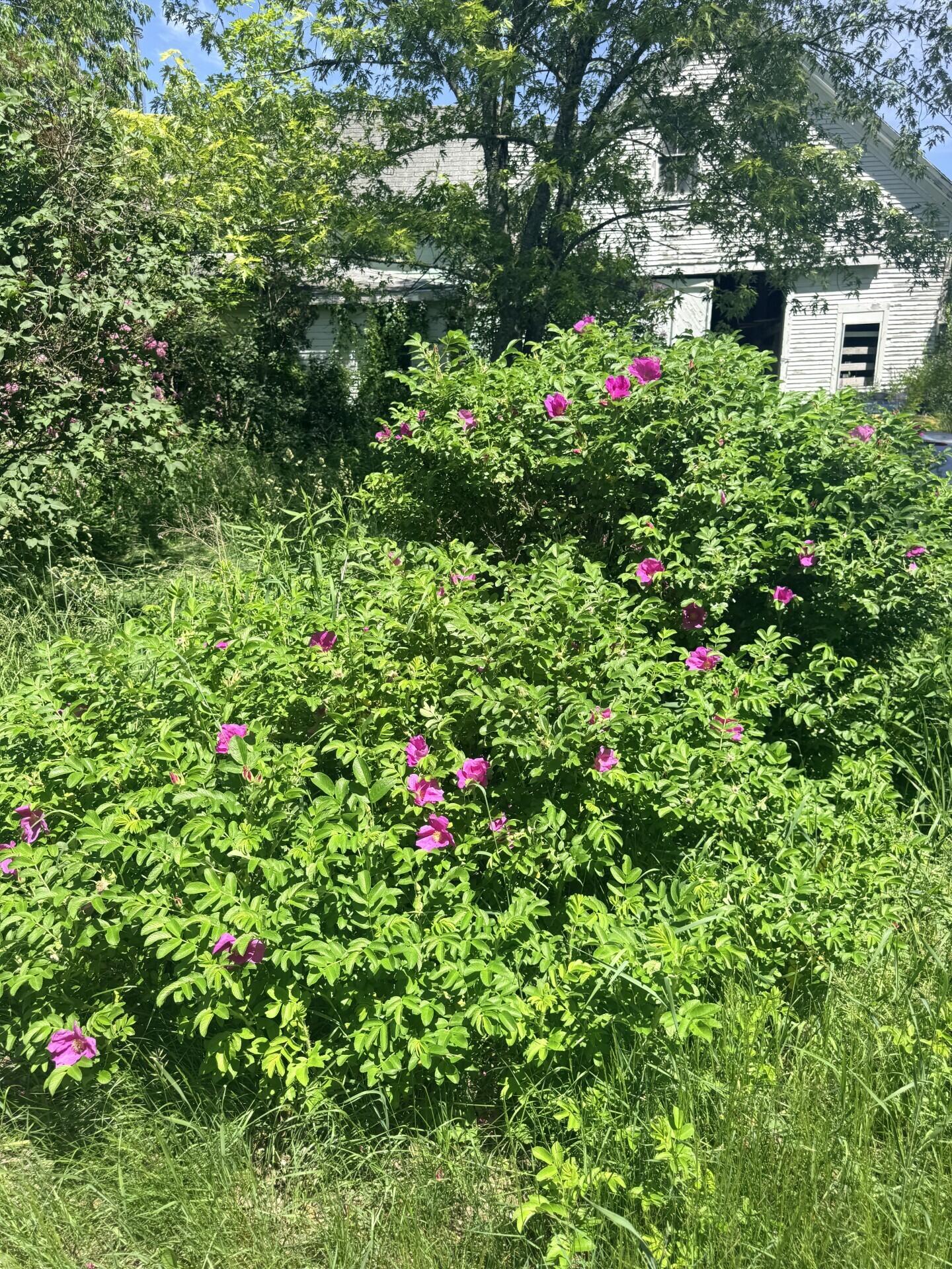 1769 Washington Road Property Photo 18
