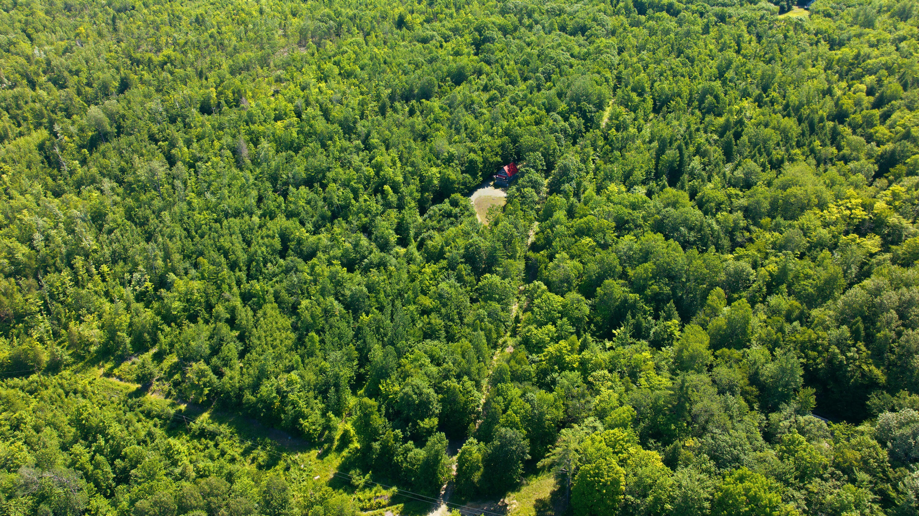 29 Griffin Mountain Road Property Photo 14