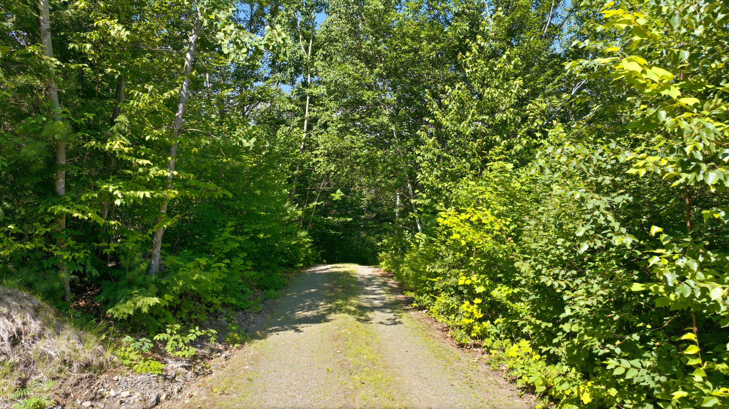 29 Griffin Mountain Road Property Photo 56