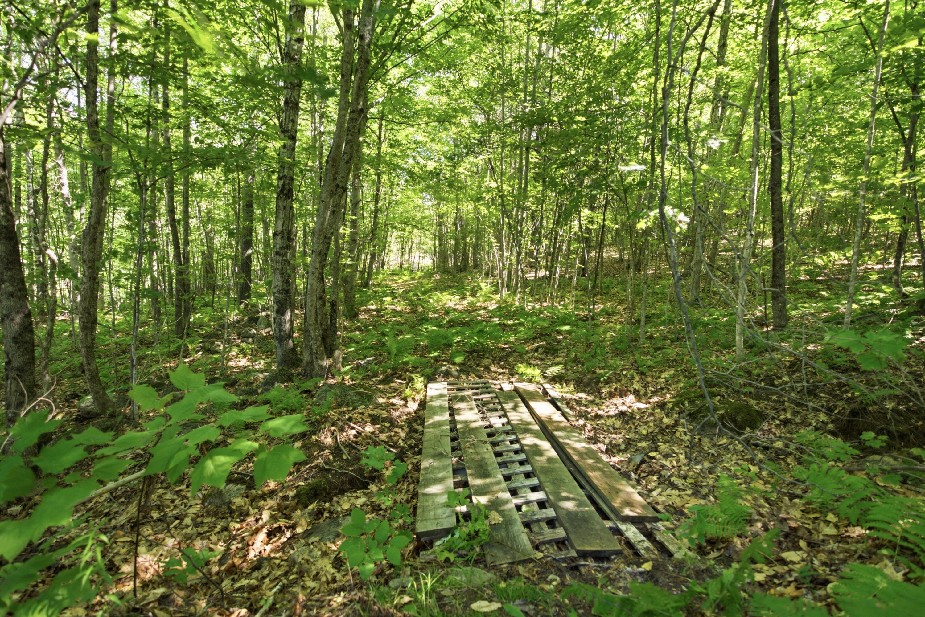 29 Griffin Mountain Road Property Photo 57