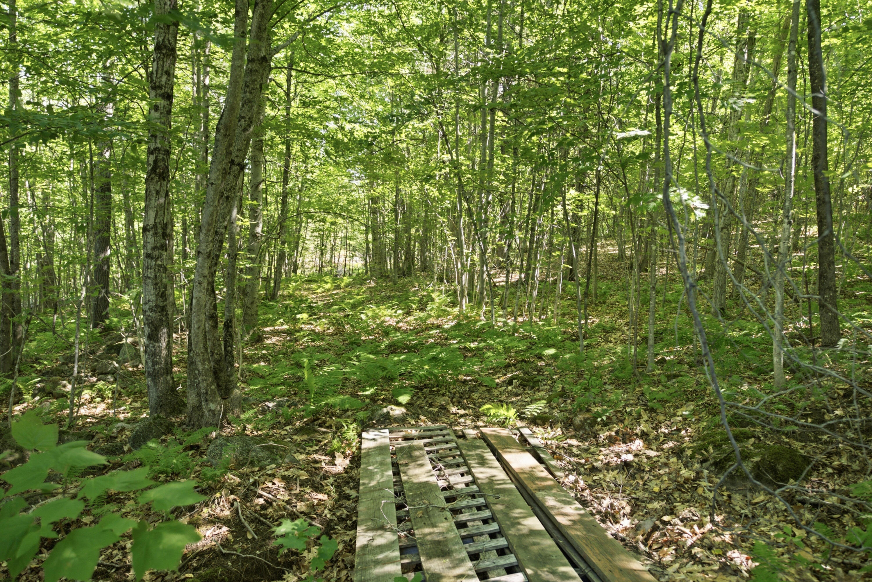 29 Griffin Mountain Road Property Photo 58