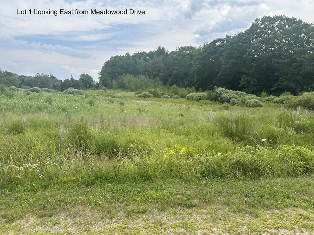 1 Meadowood Drive Property Photo 1