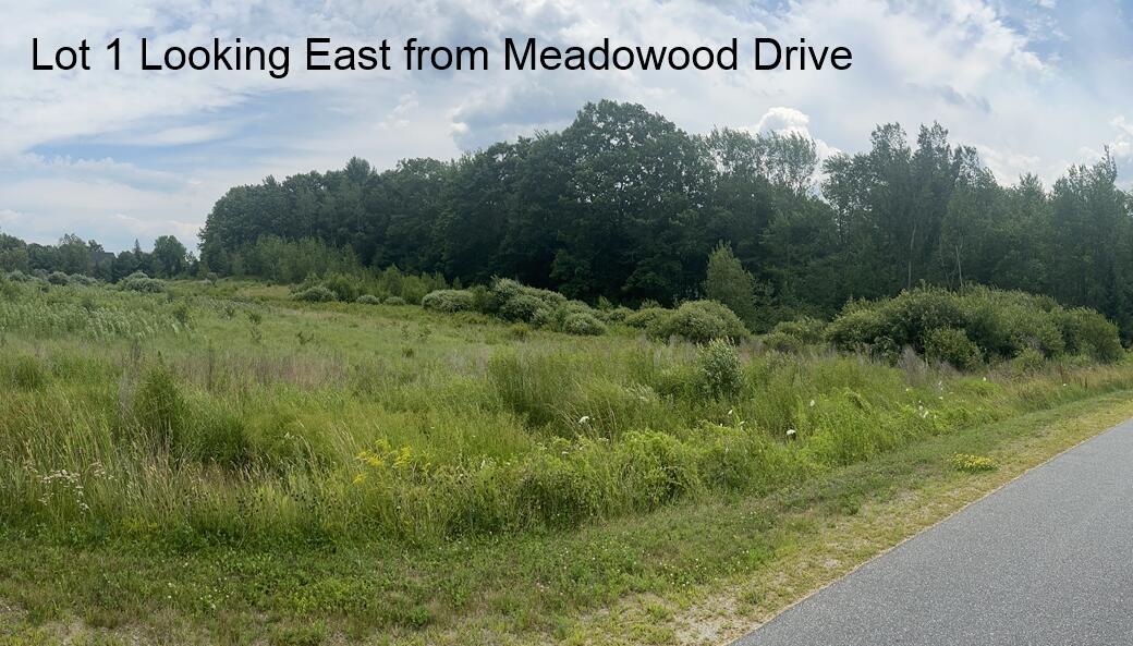 1 Meadowood Drive Property Photo 2