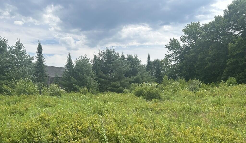 1 Meadowood Drive Property Photo 10