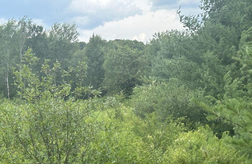 1 Meadowood Drive Property Photo 18