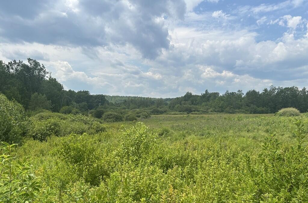 1 Meadowood Drive Property Photo 19