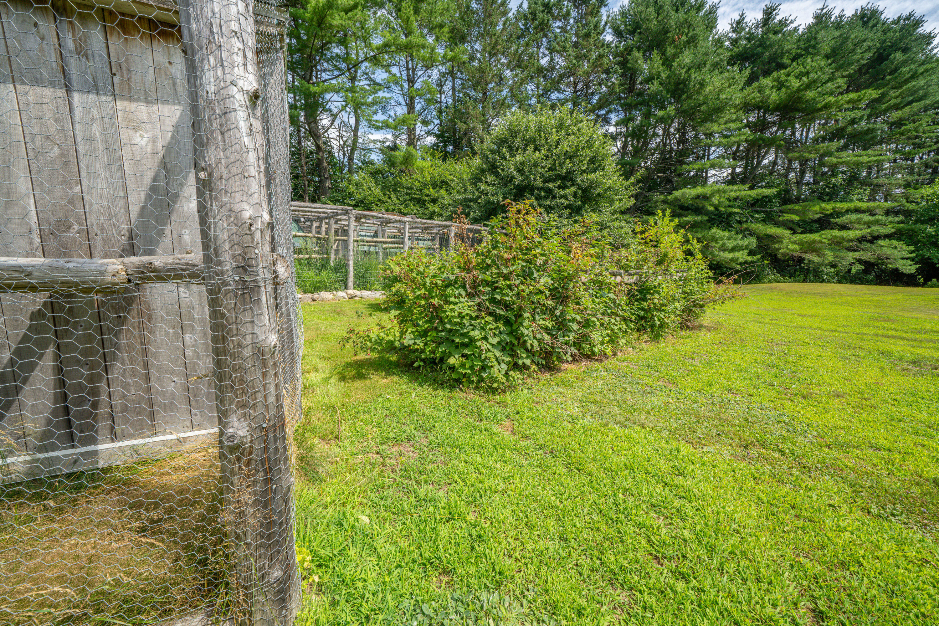 385 Millvale Road Property Photo 22
